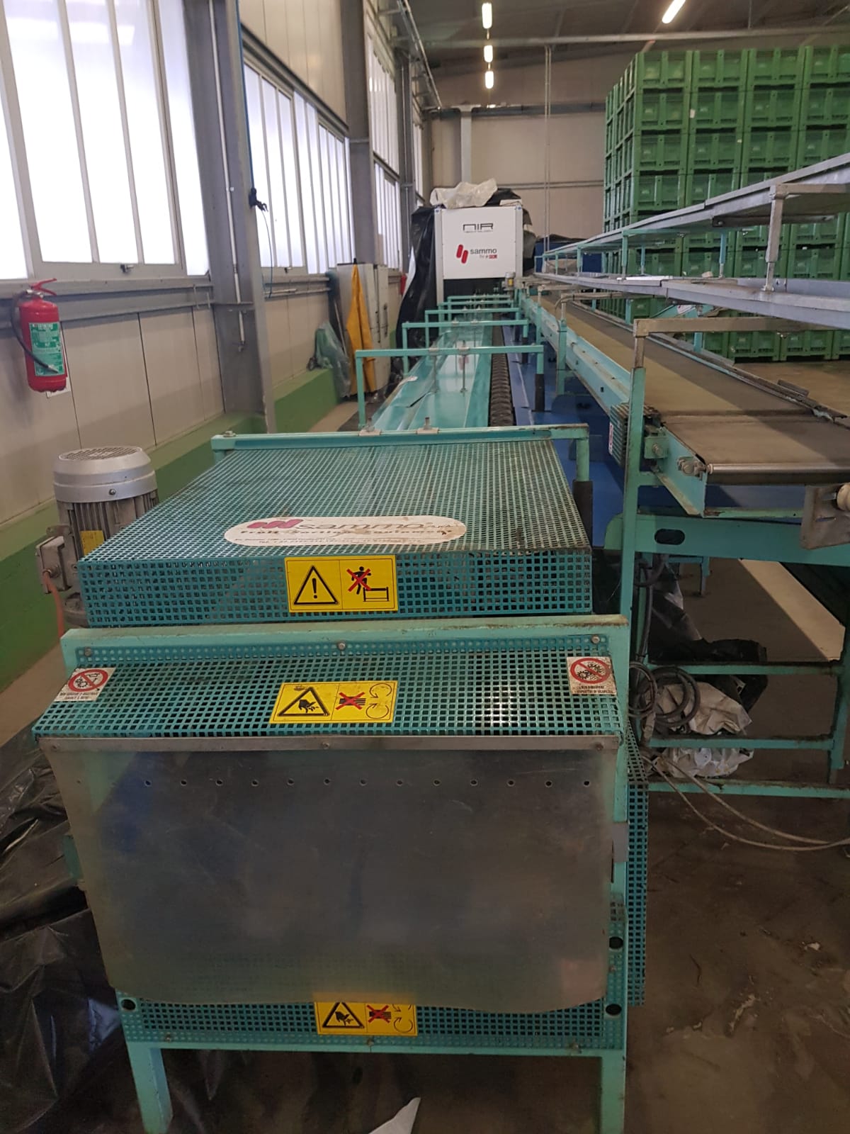 Linea di lavorazione Melone in vendita - foto 4