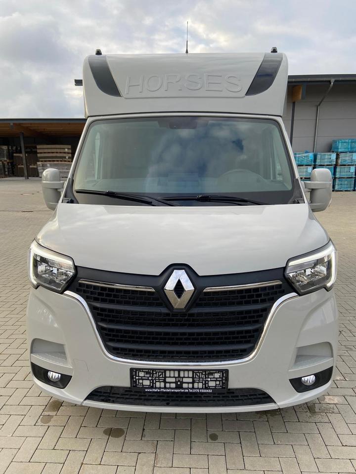 Camion per il trasporto di cavalli  Renault Master 2024 in vendita - foto 4