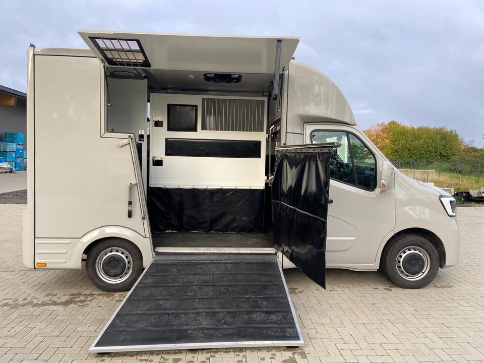 Camion per il trasporto di cavalli  Renault Master 2024 in vendita - foto 3