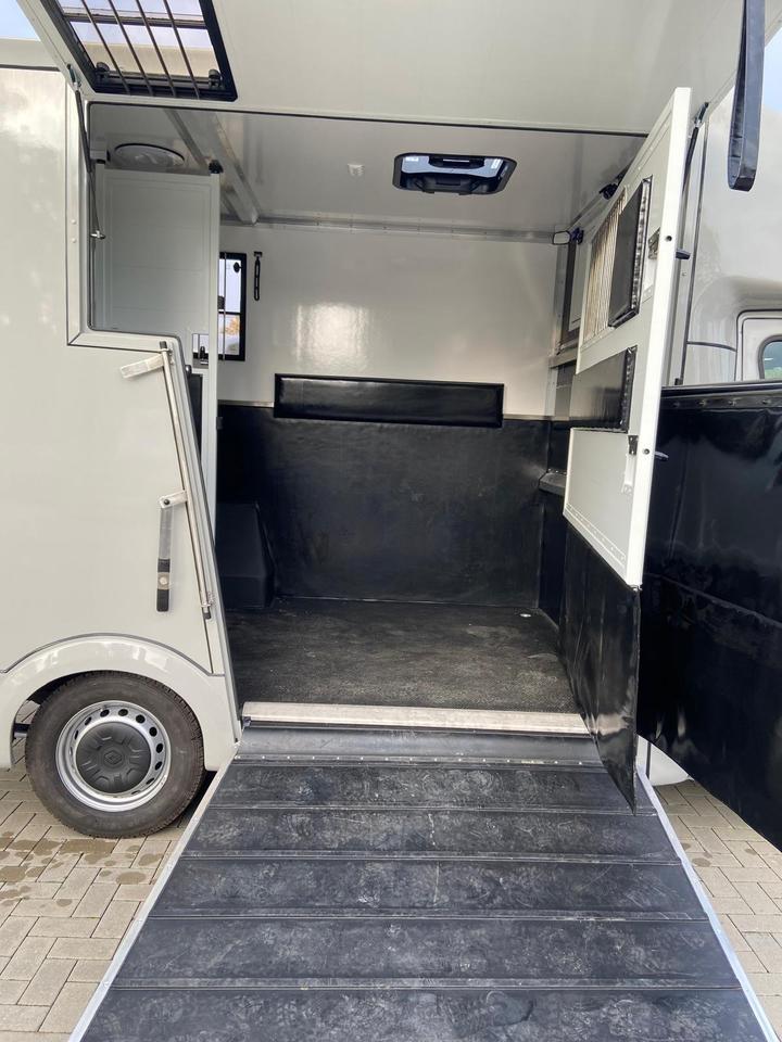 Camion per il trasporto di cavalli  Renault Master 2024 in vendita - foto 12