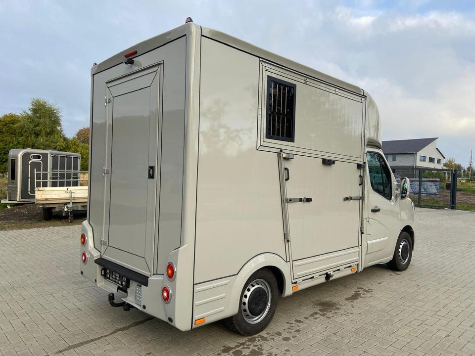 Camion per il trasporto di cavalli  Renault Master 2024 in vendita - foto 5