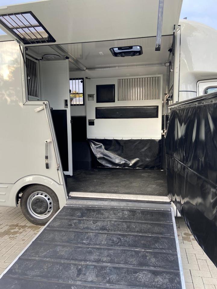 Camion per il trasporto di cavalli  Renault Master 2024 in vendita - foto 11