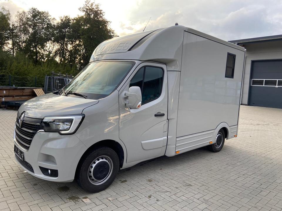 Camion per il trasporto di cavalli  Renault Master 2024 in vendita - foto 2