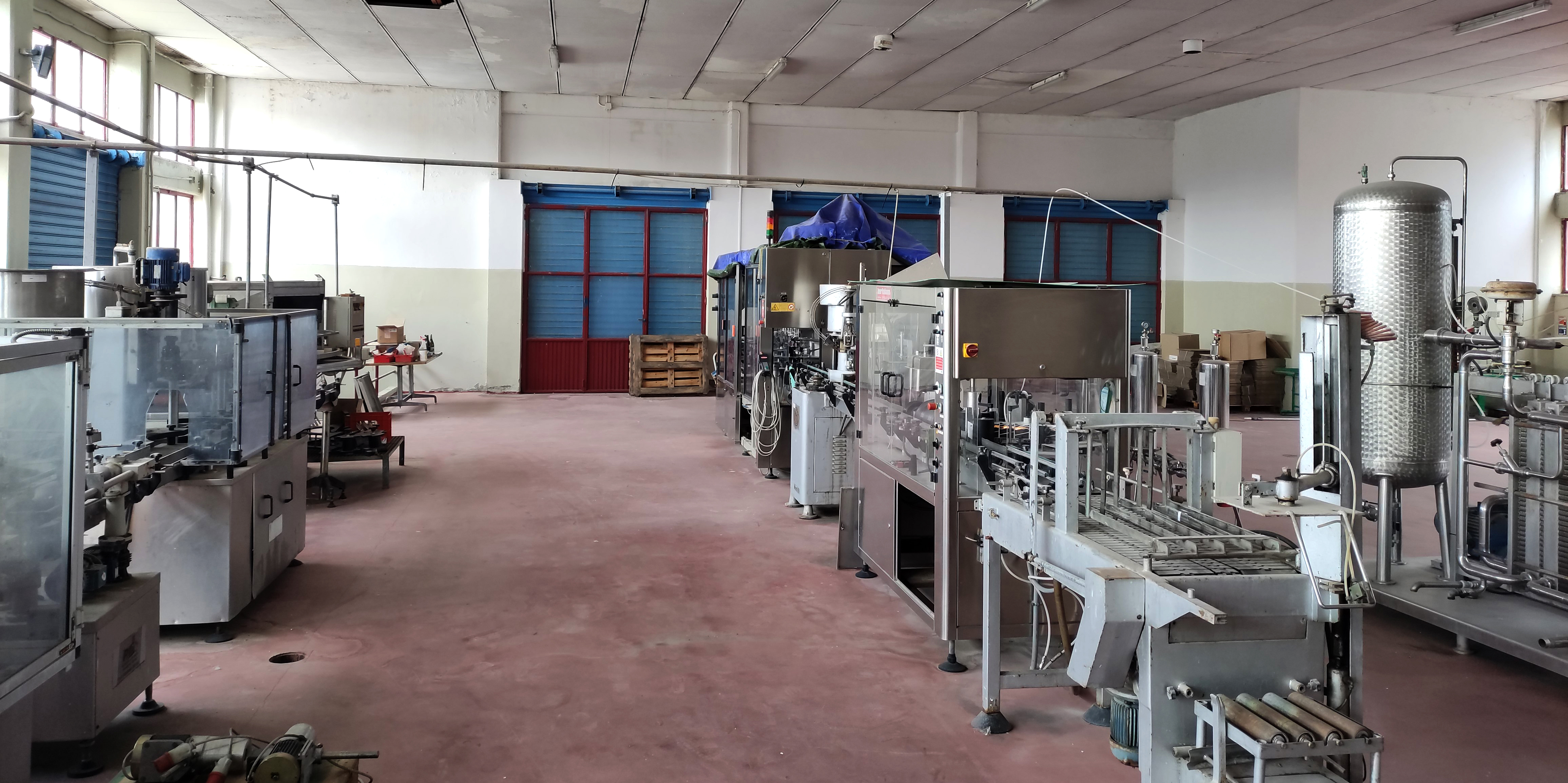 AZIENDA VITIVINICOLA  in vendita - foto 7