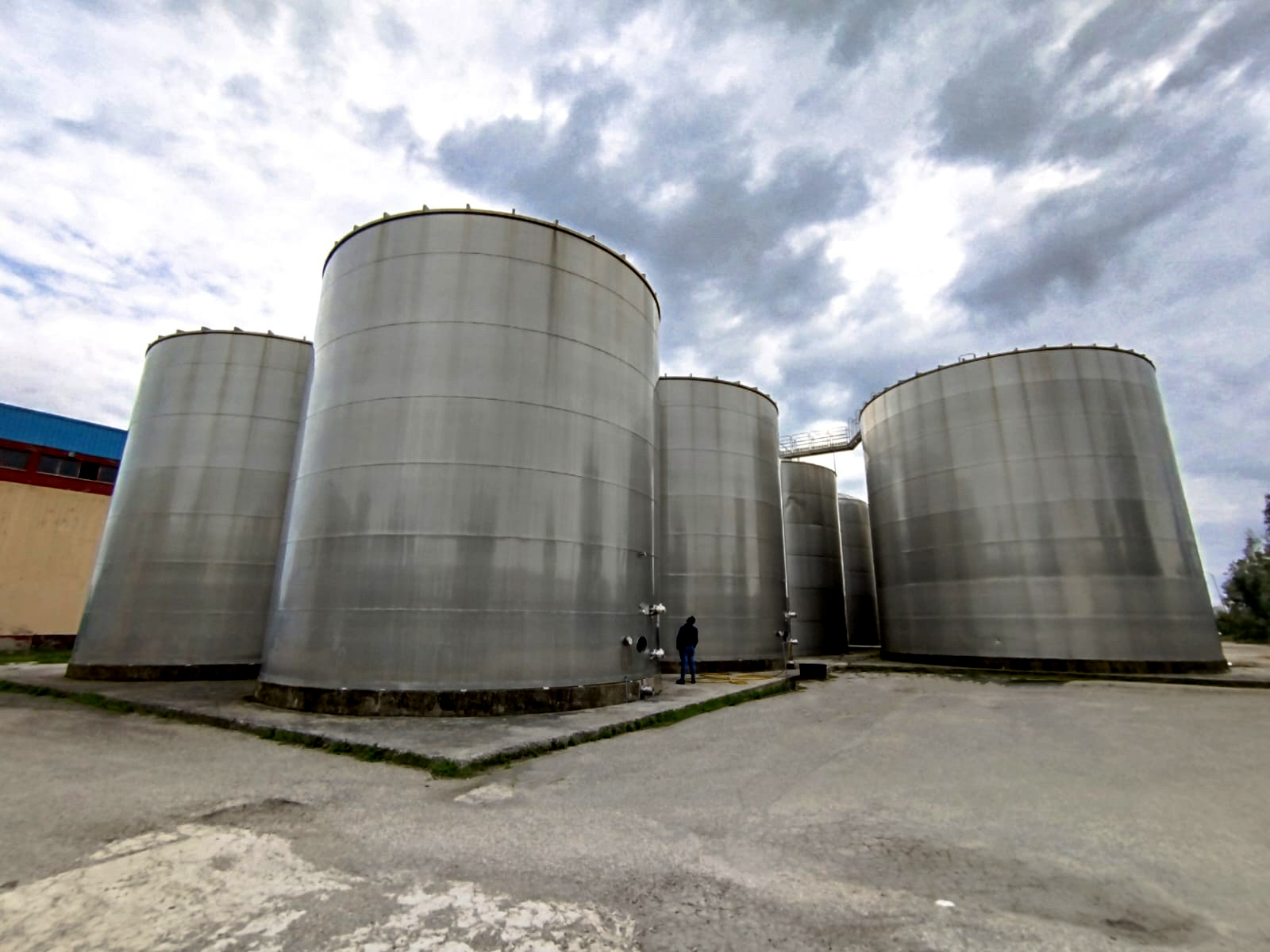 AZIENDA VITIVINICOLA  in vendita - foto 4