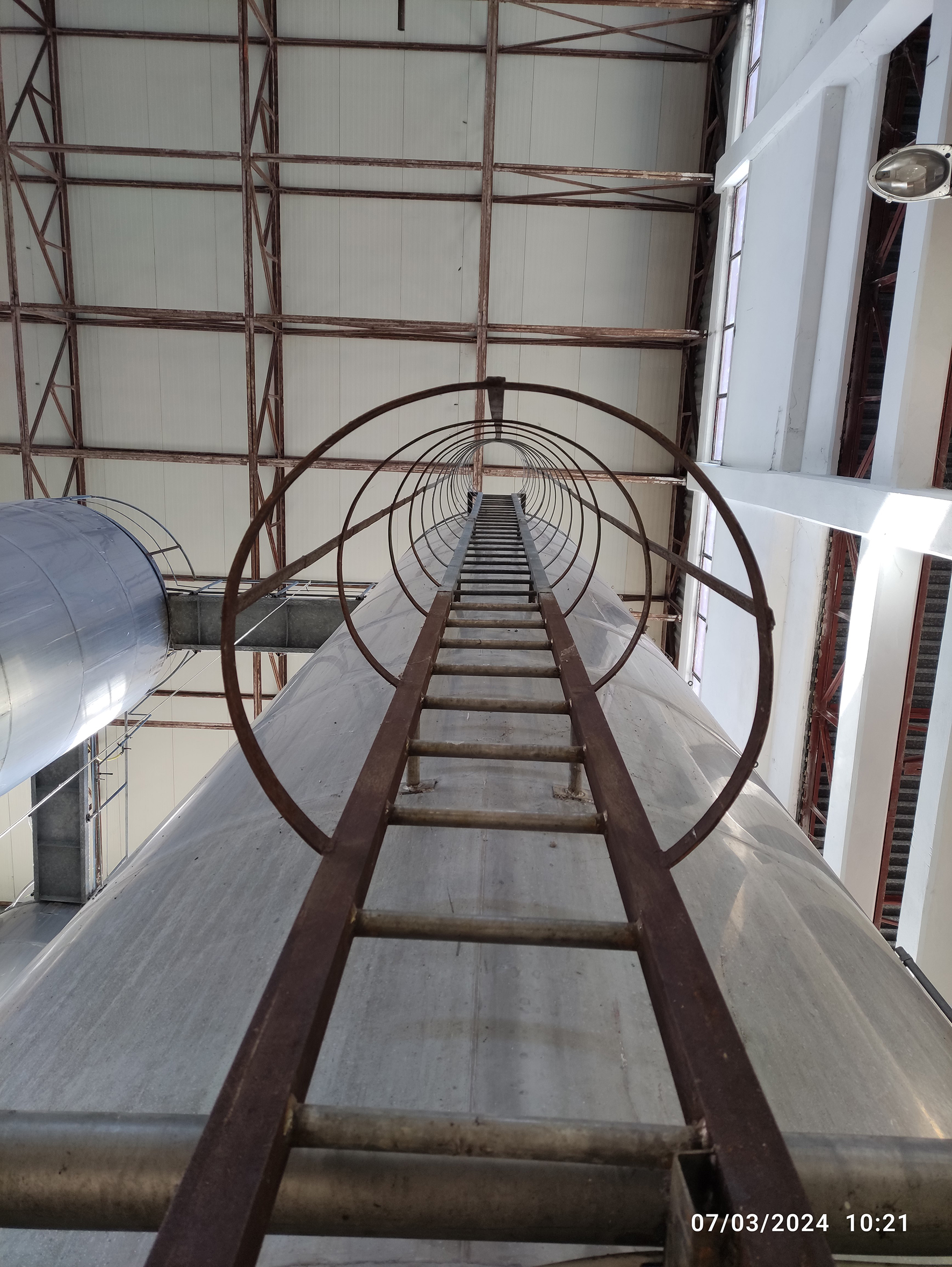 AZIENDA VITIVINICOLA  in vendita - foto 11