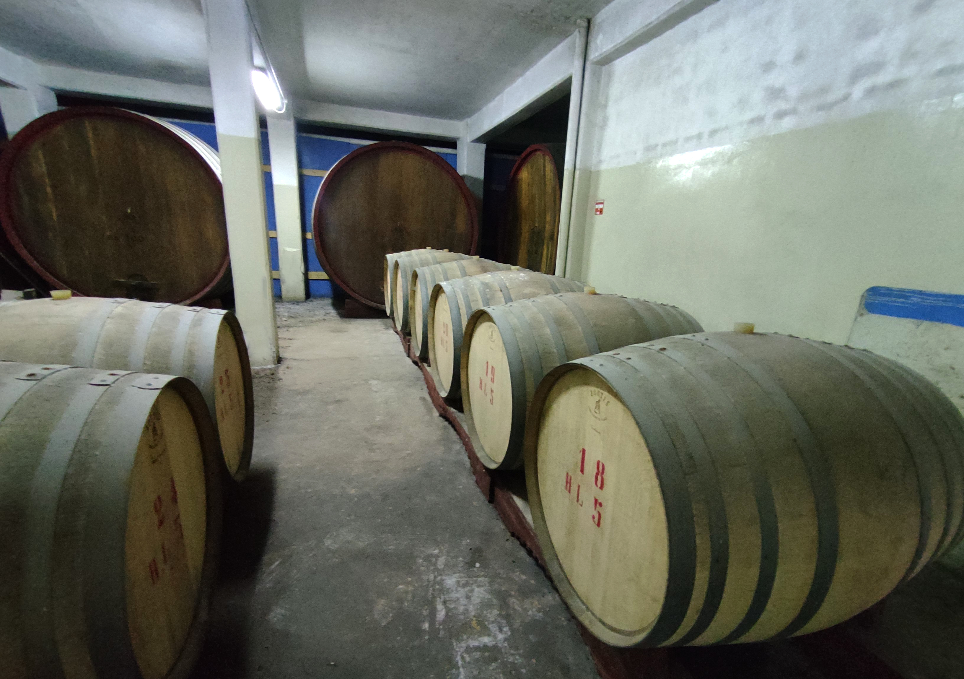 AZIENDA VITIVINICOLA  in vendita - foto 13