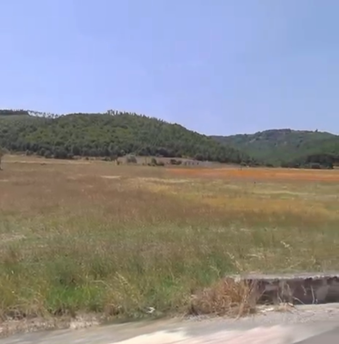 Terreno industriale in Vendita in vendita - foto 4