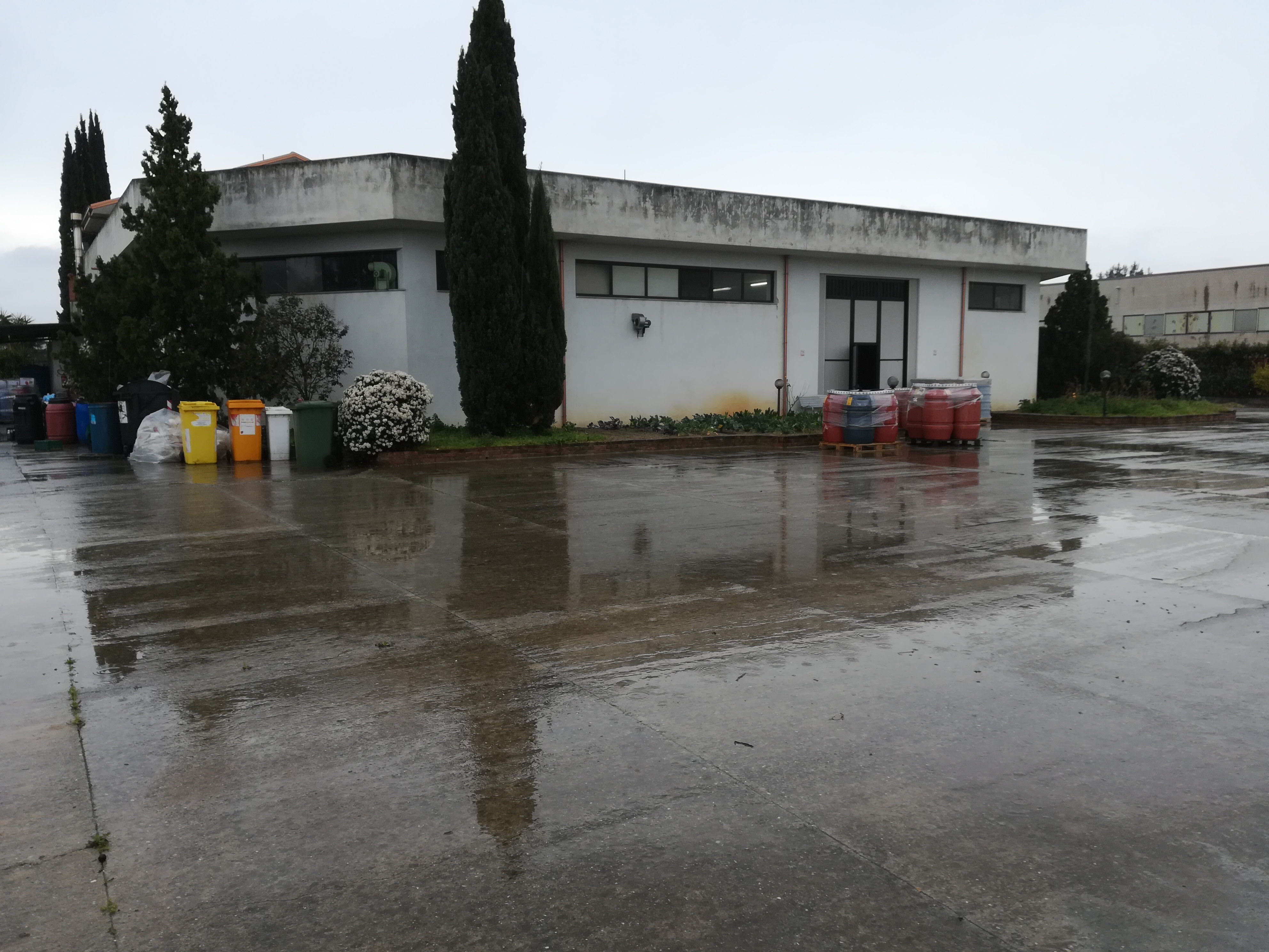 Affitto azienda in vendita