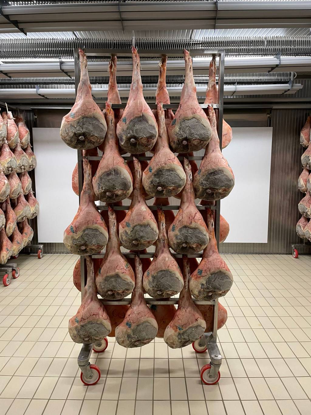 Carrello INOX Appendimento Prosciutti in vendita - foto 5