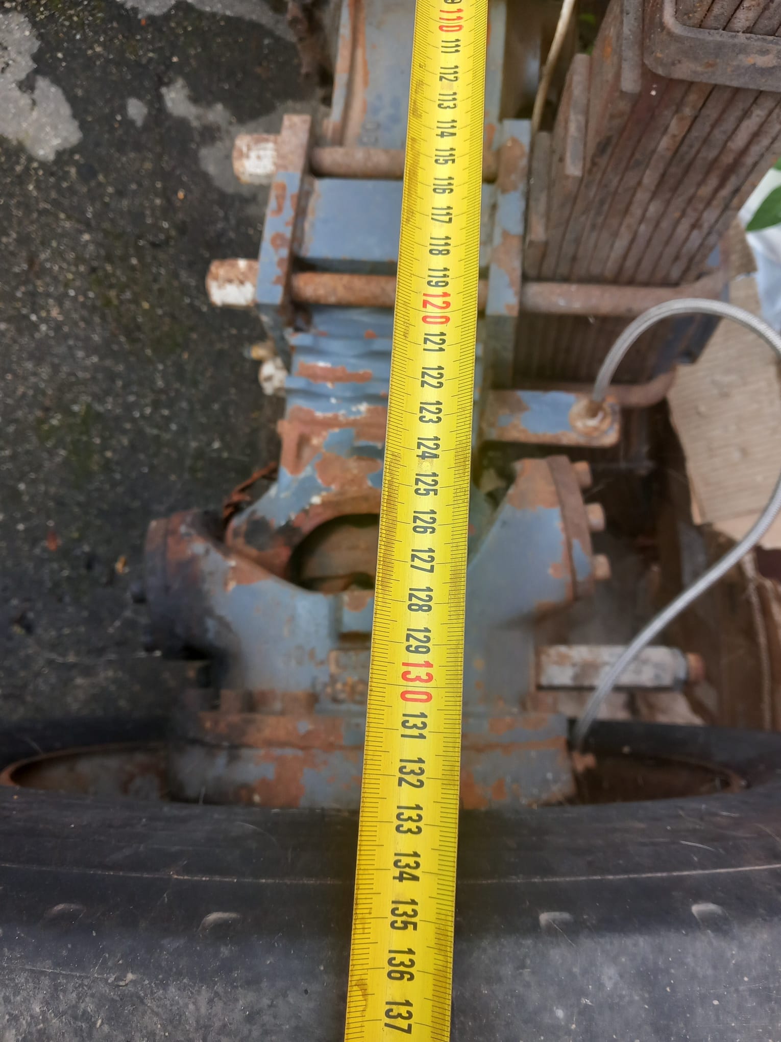 Assale in vendita - foto 8