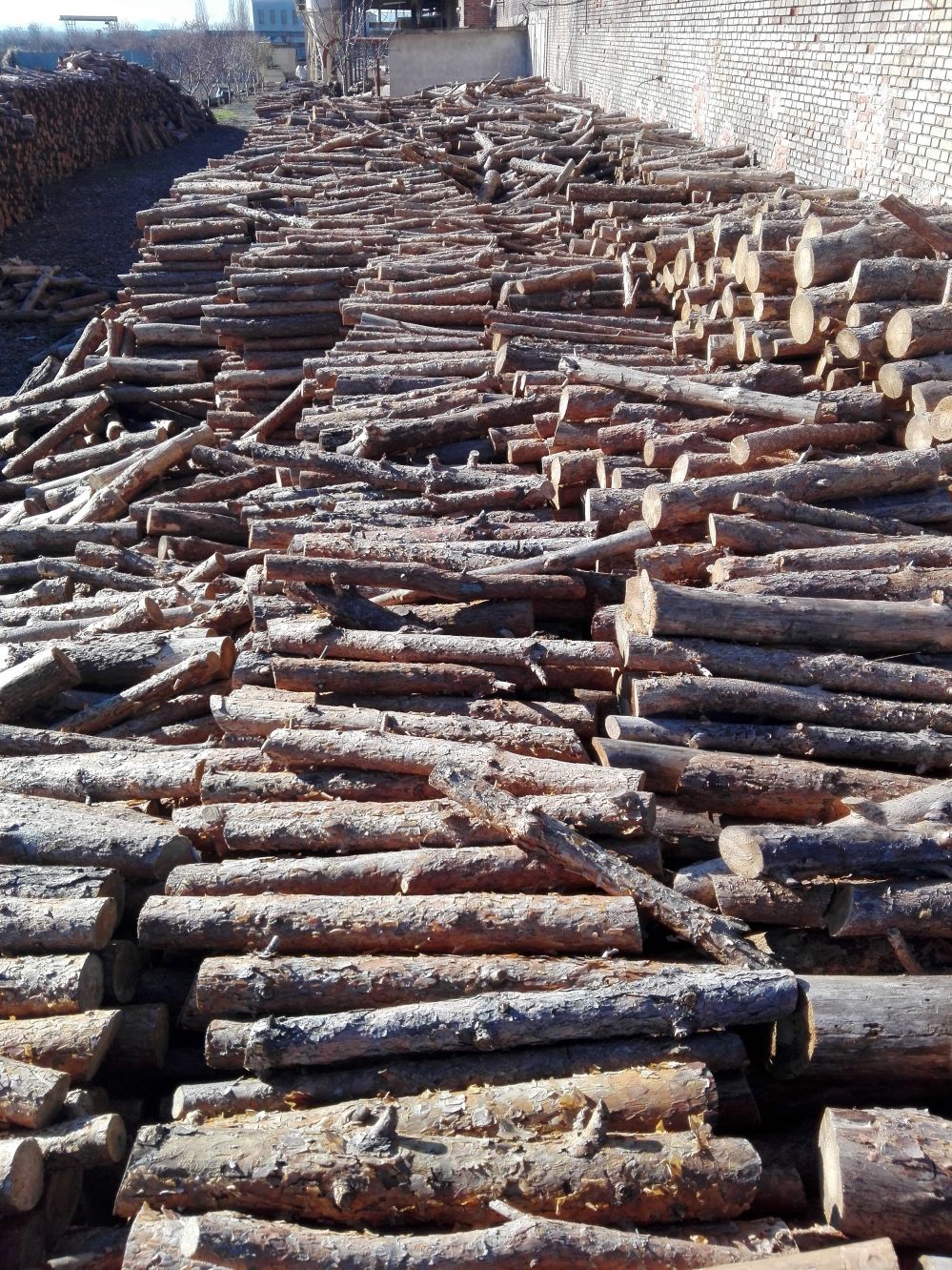 Impianto pellet 3,5 ton  in vendita - foto 4