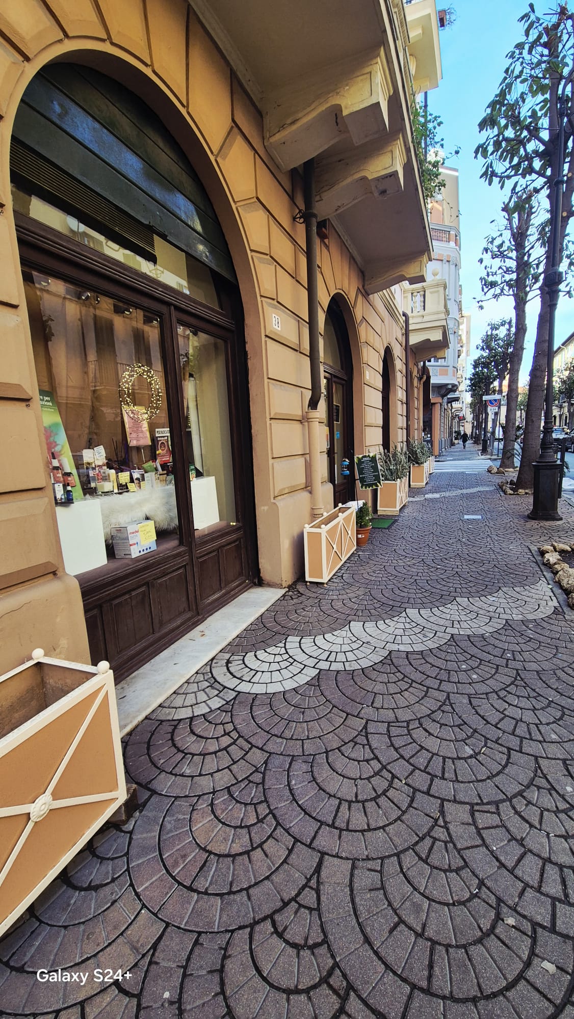vendita erboristeria avviata o gestione a riscatto in vendita - foto 3