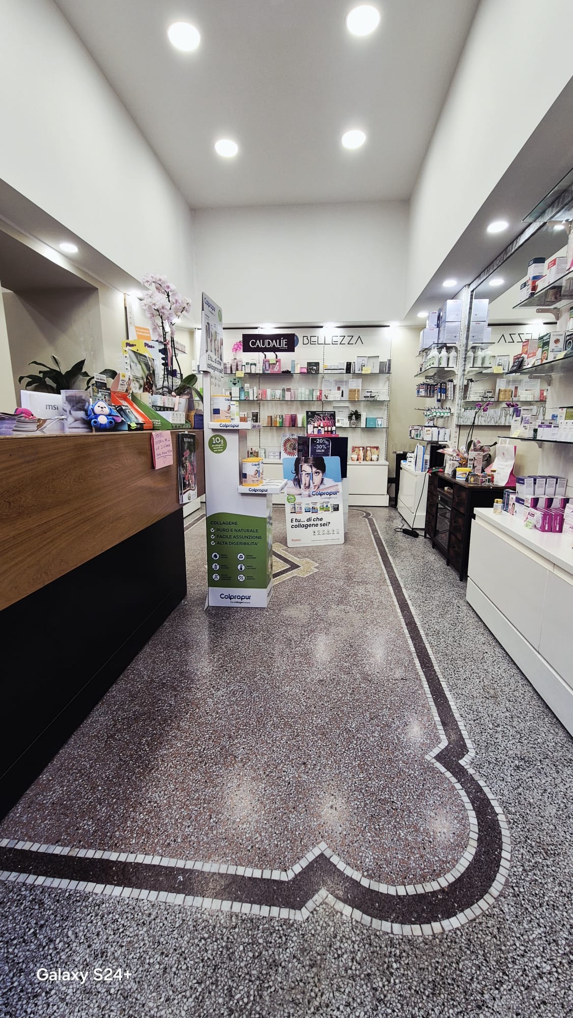 vendita erboristeria avviata o gestione a riscatto in vendita - foto 1