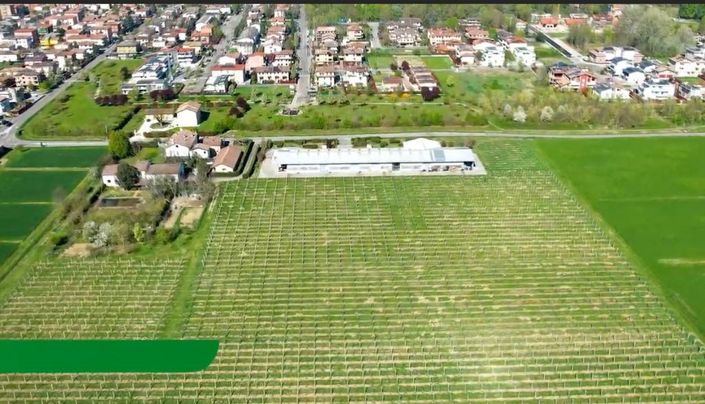 Capannone a Carpi immerso nel verde vicino al centro in vendita - foto 3