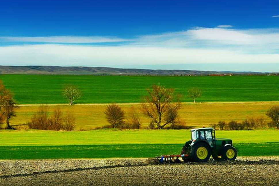 ATTREZZI AGRICOLI VARI in vendita - foto 1