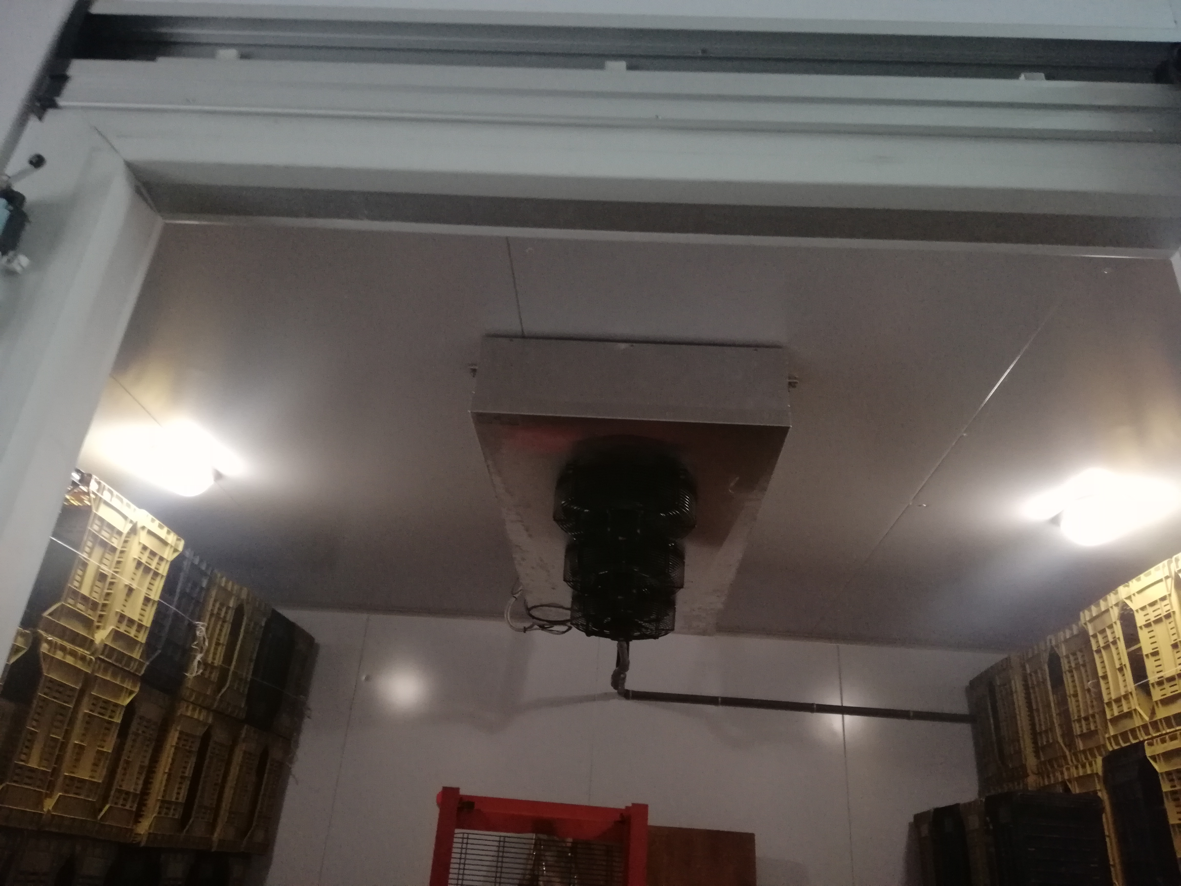 Cella Frigo  in vendita - foto 4