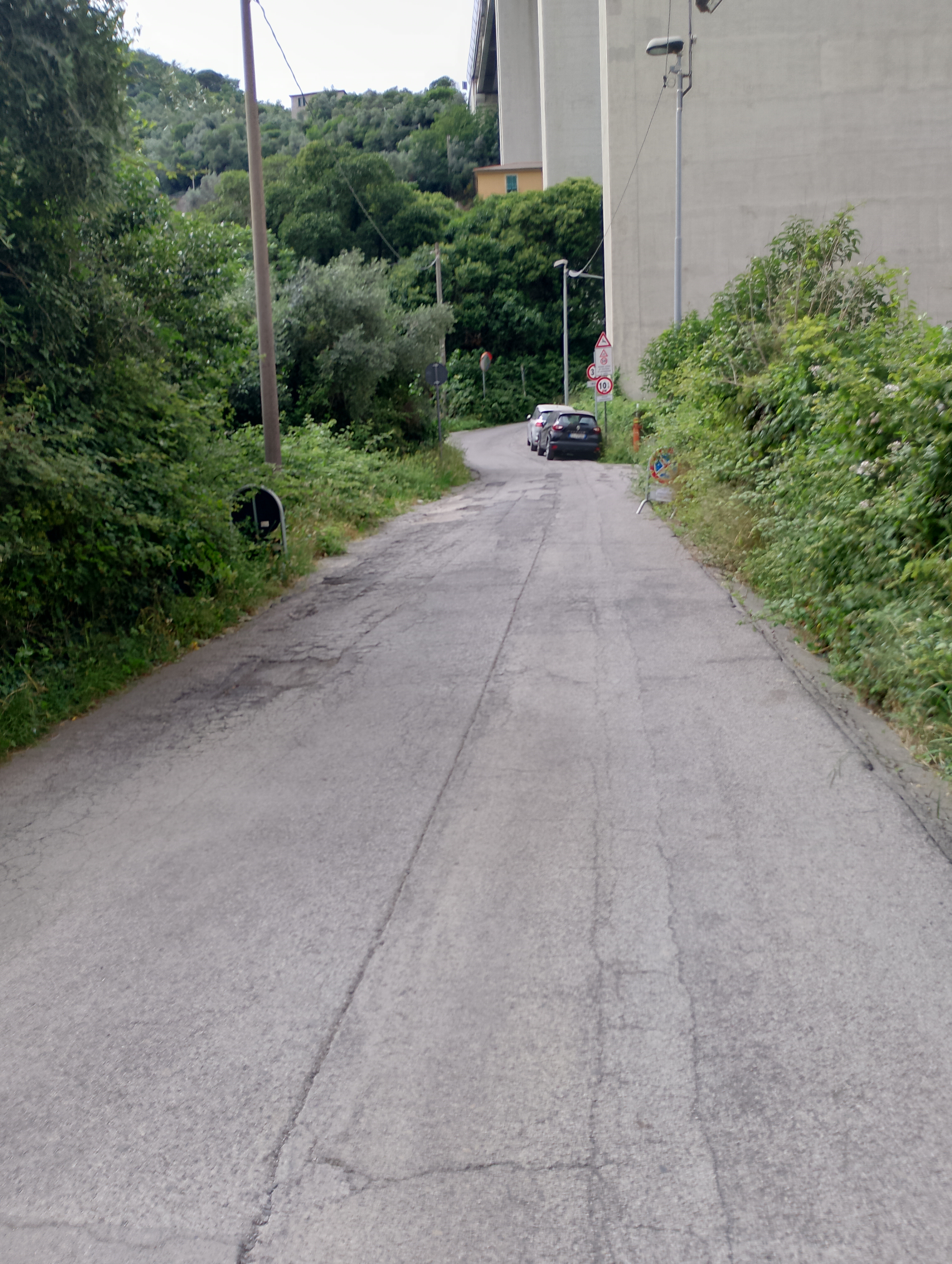 Società Servizi  in vendita - foto 2