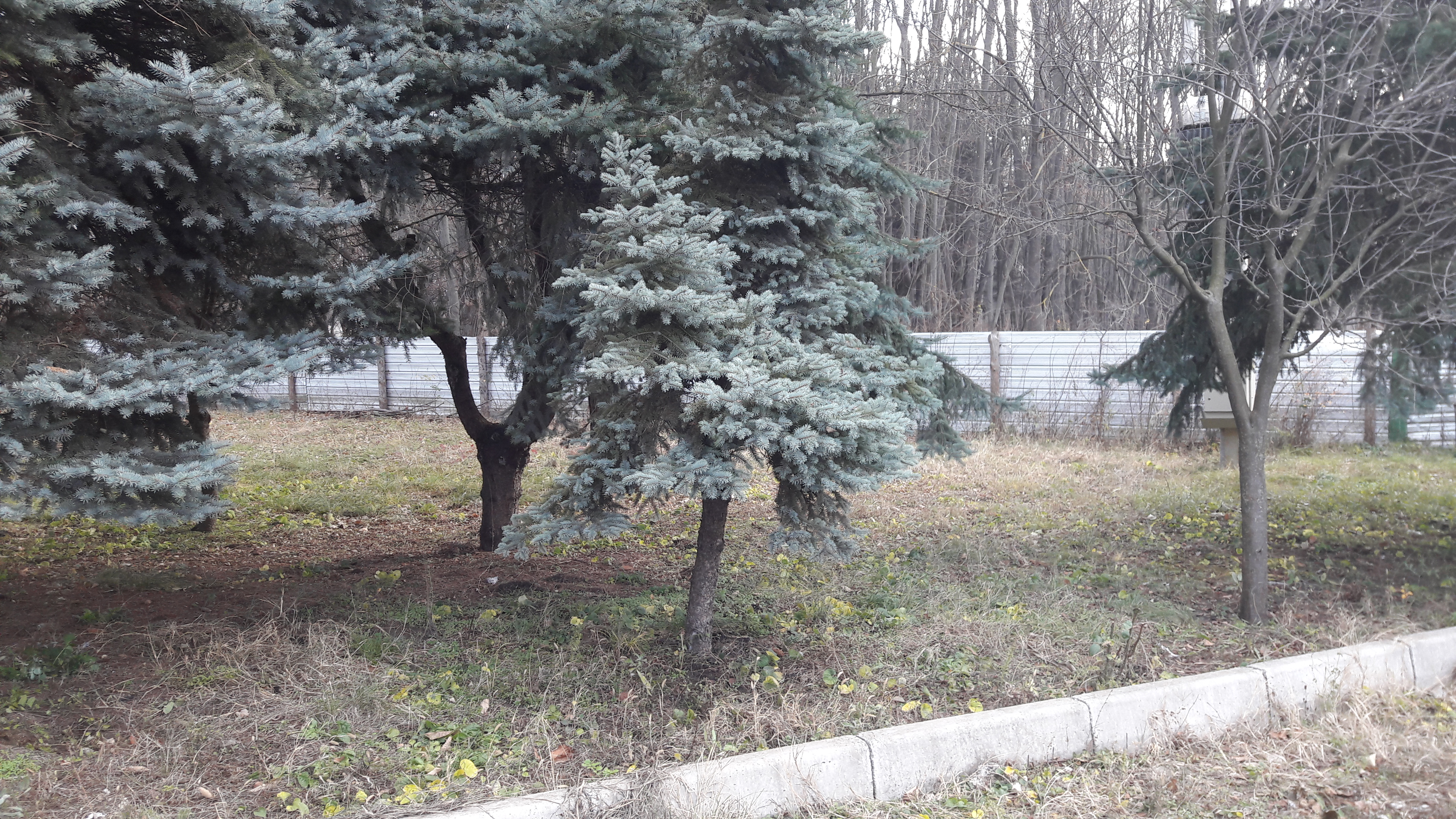 COSTRUZIONE PER RISTORAZIONE O ALTRO  in vendita - foto 8