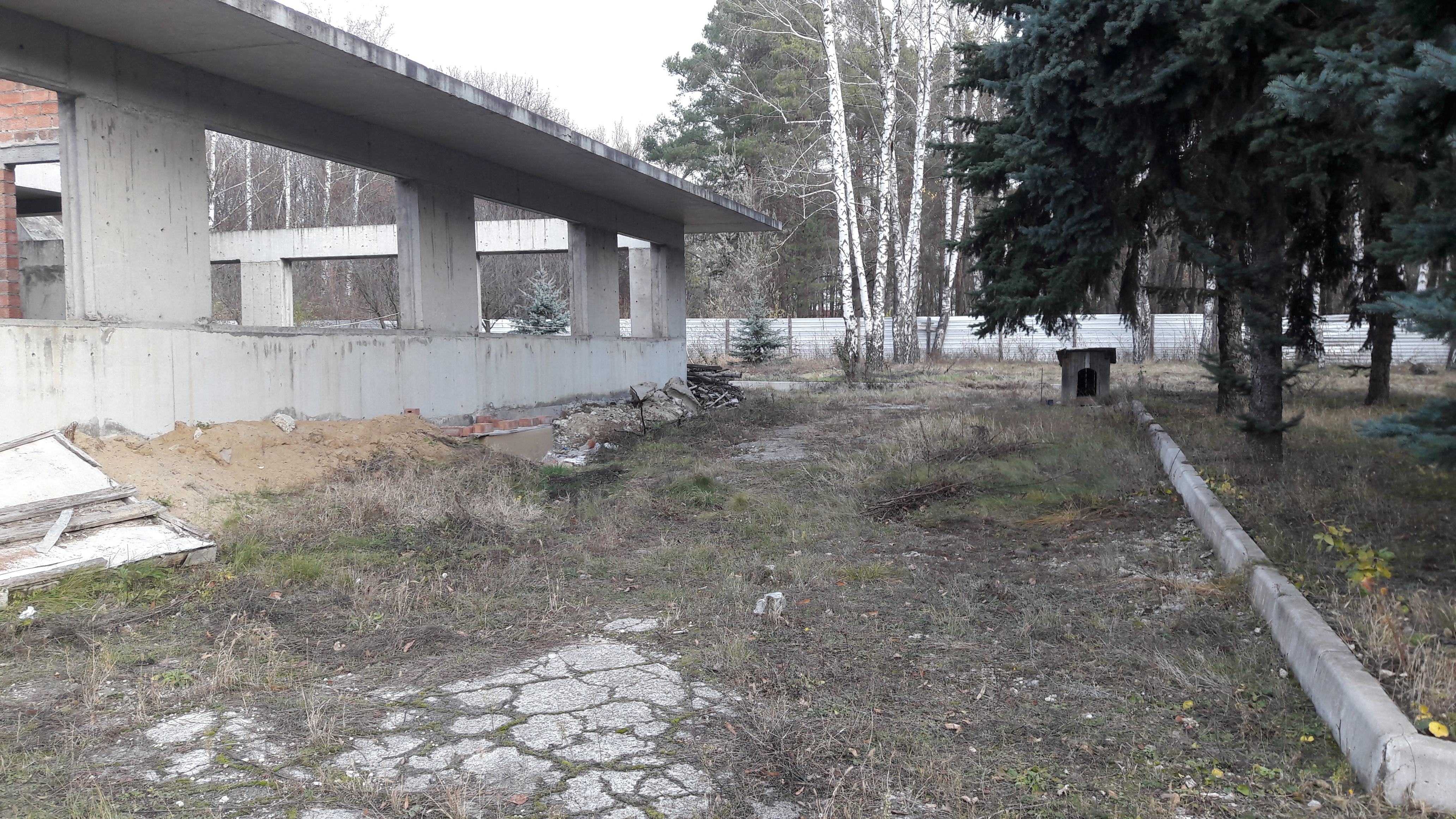 COSTRUZIONE PER RISTORAZIONE O ALTRO  in vendita - foto 5