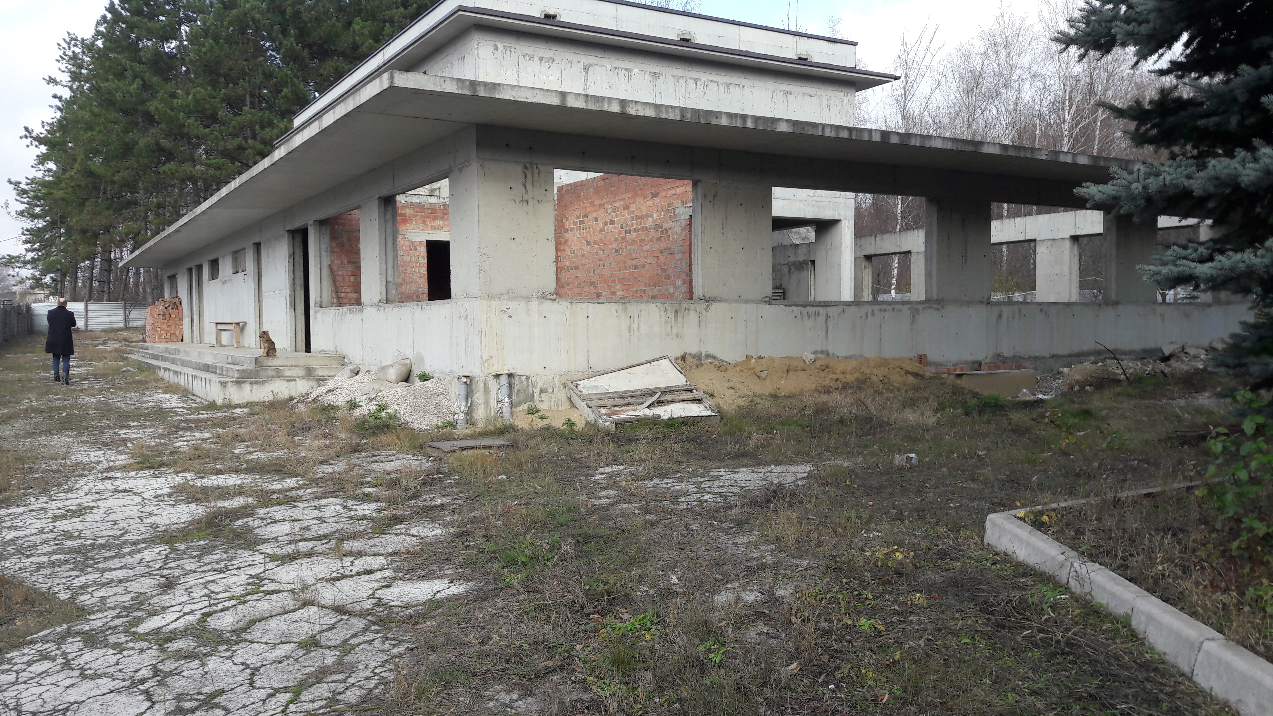 COSTRUZIONE PER RISTORAZIONE O ALTRO  in vendita - foto 3