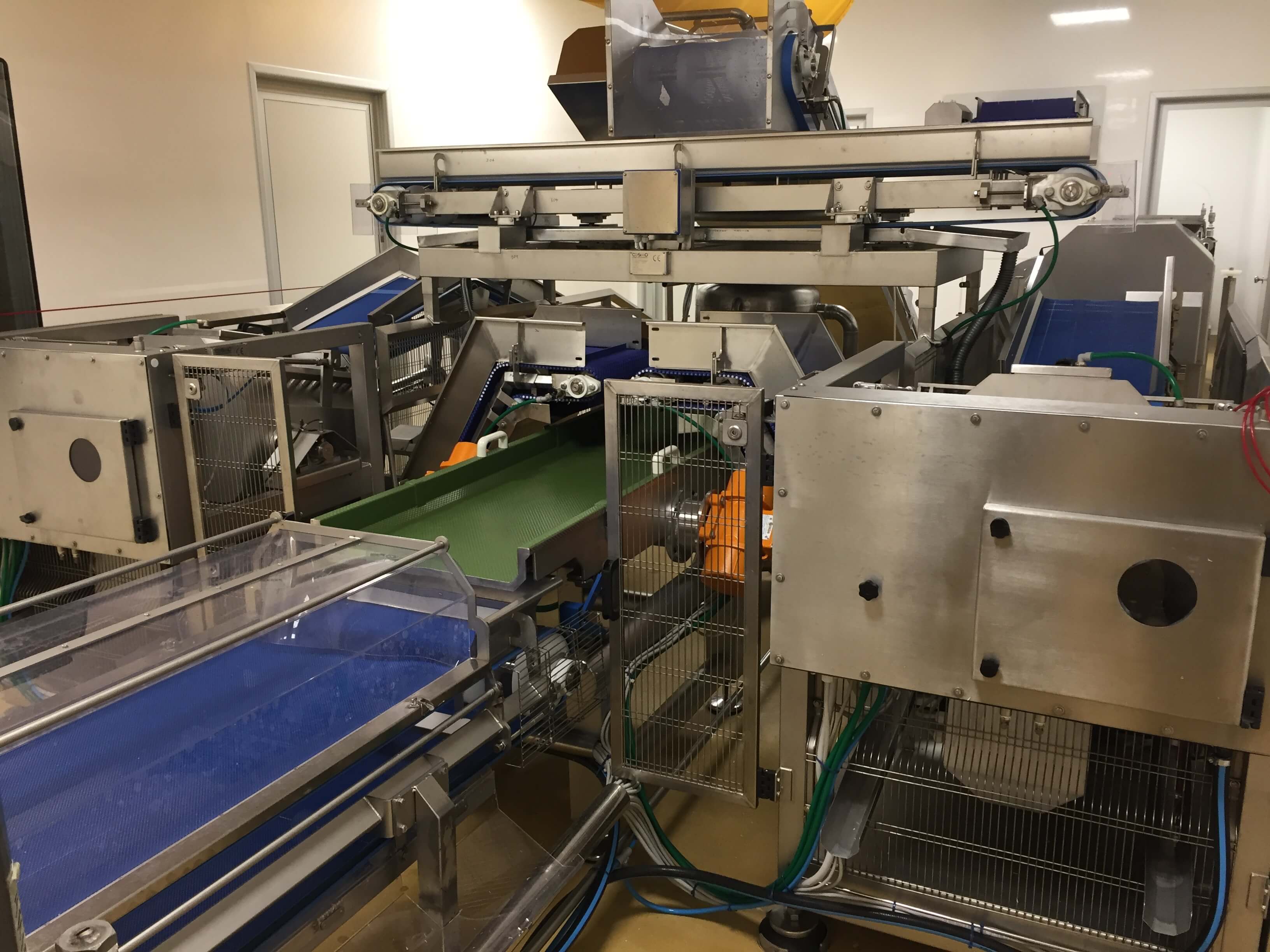 IMPIANTO LAVORAZIONE VEGETALI in vendita - foto 3