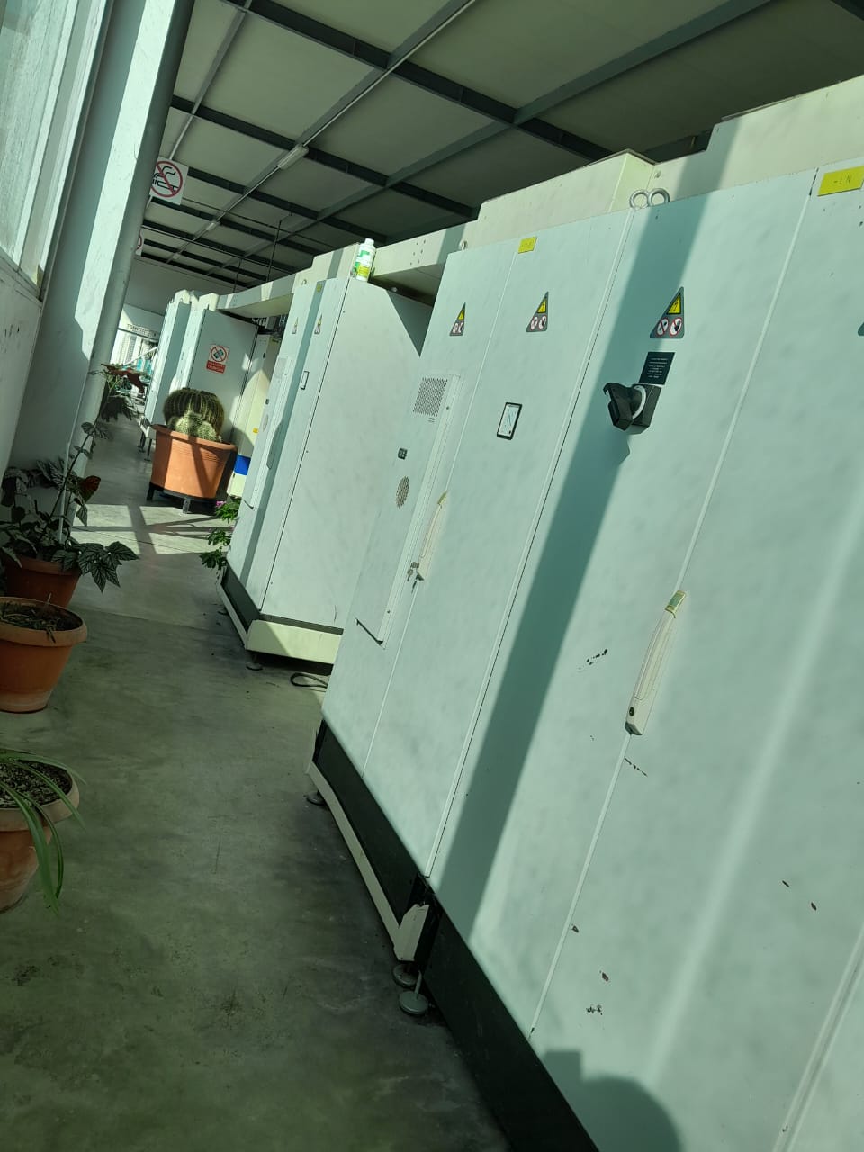 FABBRICA DI CARTA IGLIENICA E ROTOLONI ASCIUGATUTTO in vendita - foto 1