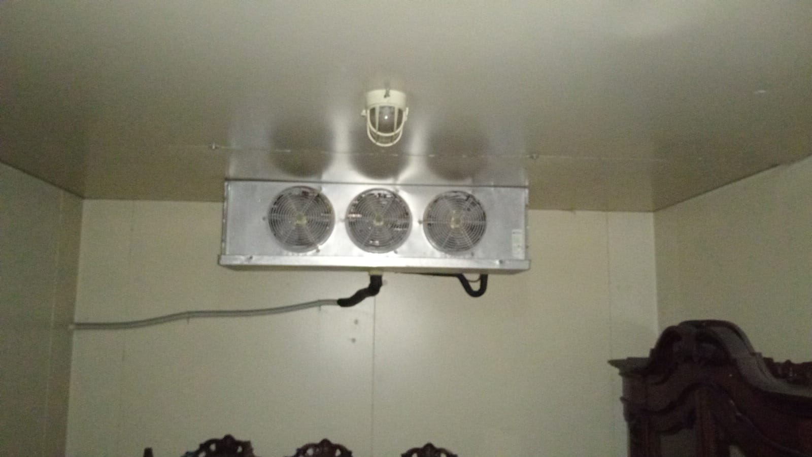 celle frigo in positivo e in negativo in vendita - foto 2