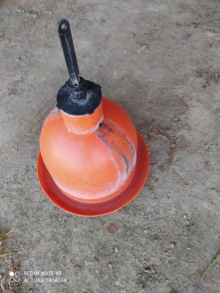 abbeveratoi per polli in vendita - foto 4