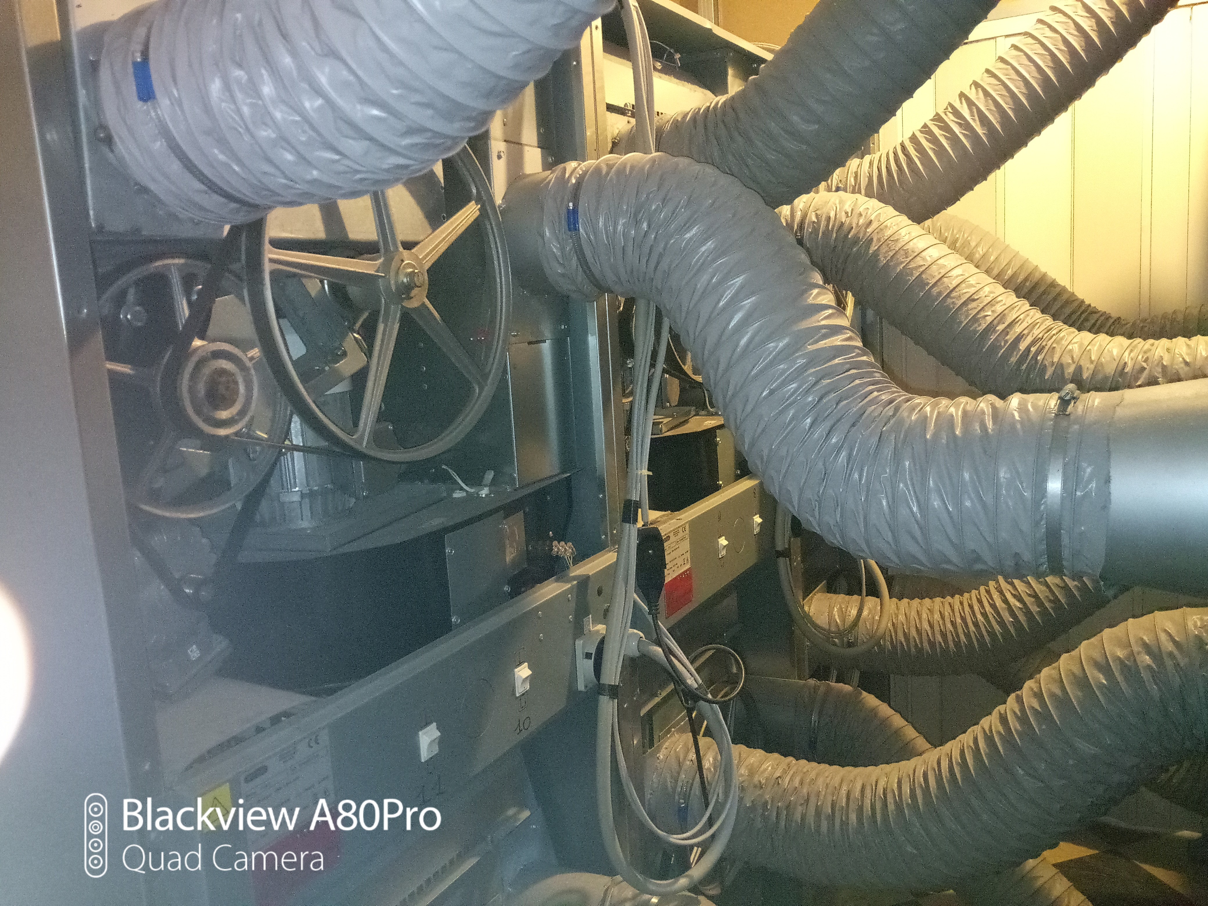 acsiugatore primus t13/13 in vendita - foto 8