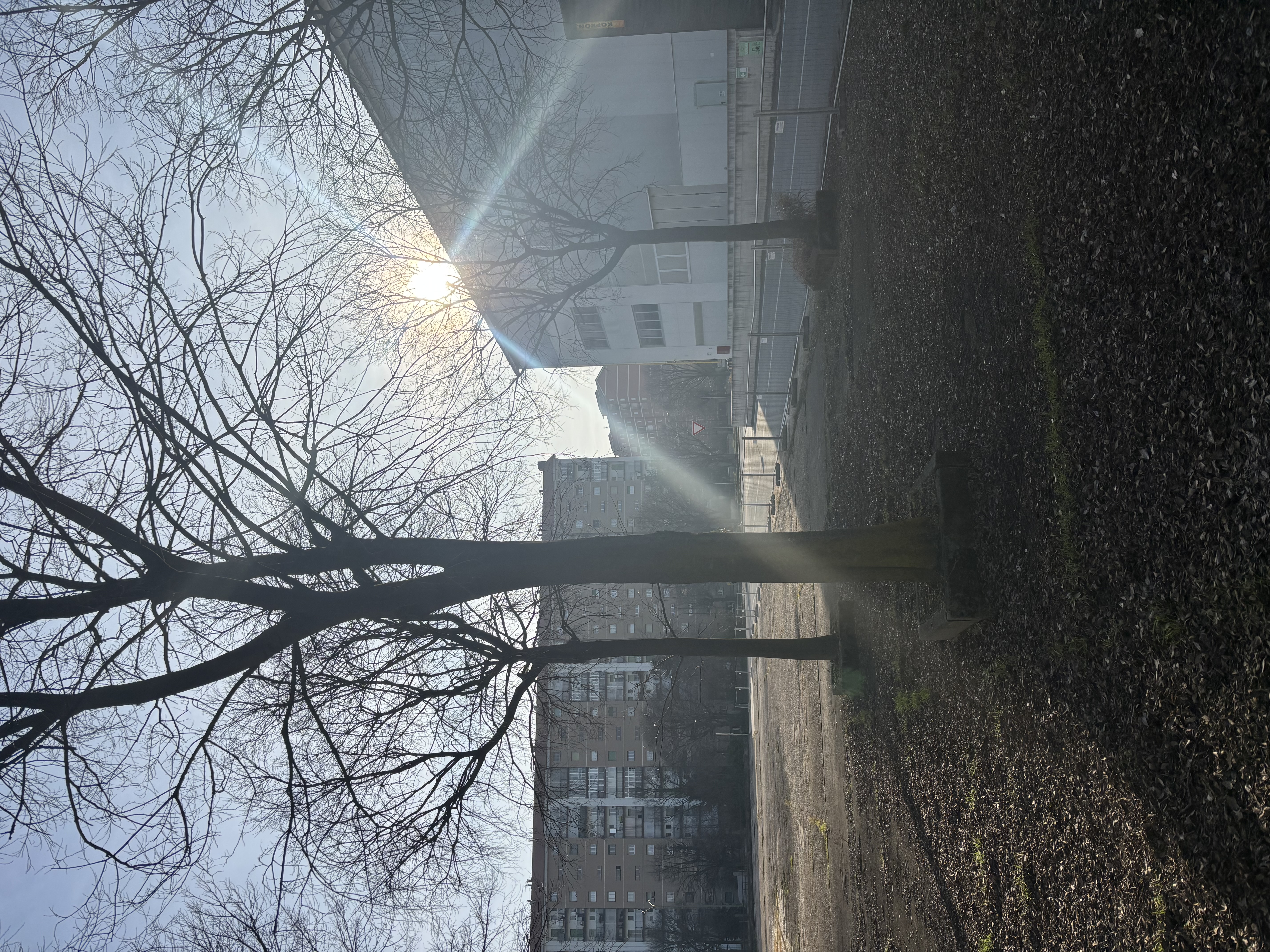 CAPANNONE 2000mq TORINO CITTÀ in vendita - foto 7