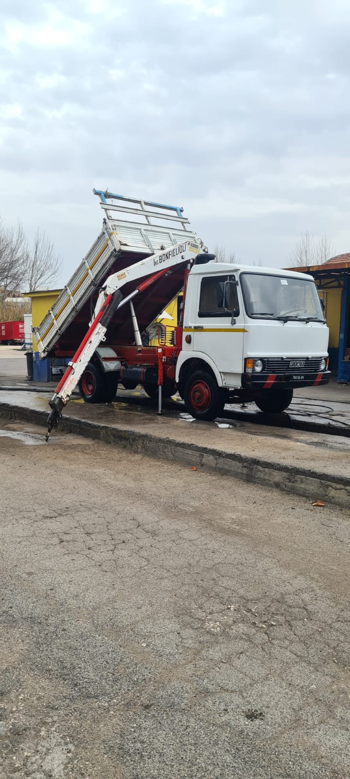 Autocarri in vendita