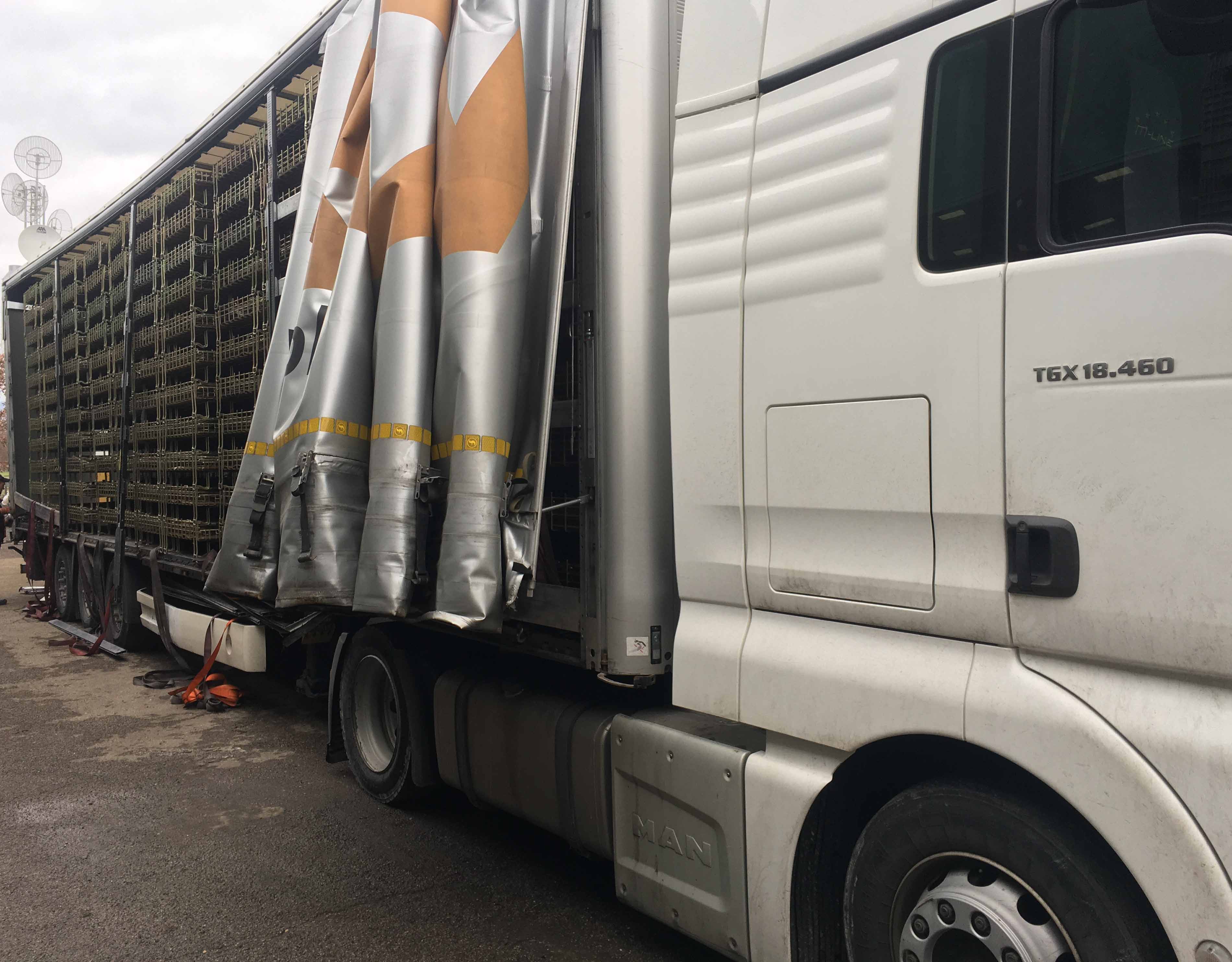 Contenitori gabbie in rete metallica ripiegabile in vendita - foto 11