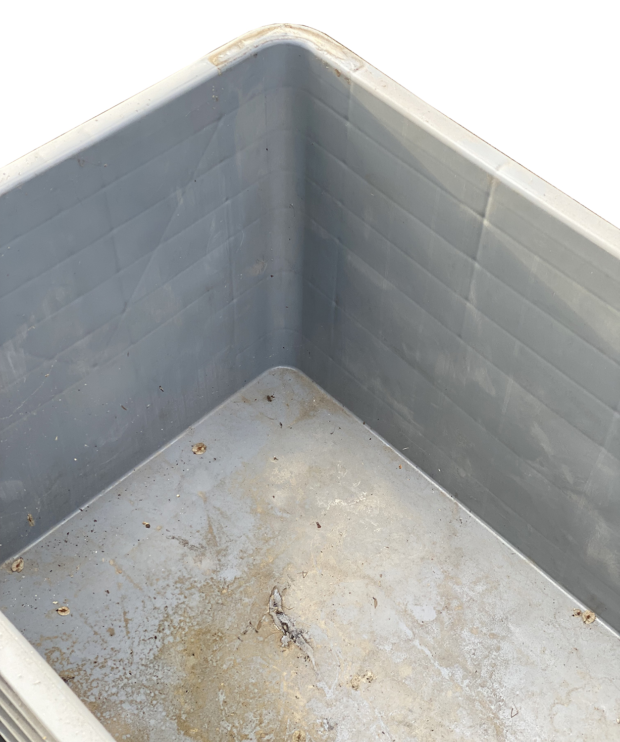 Casse pallet in plastica usate in vendita - foto 2