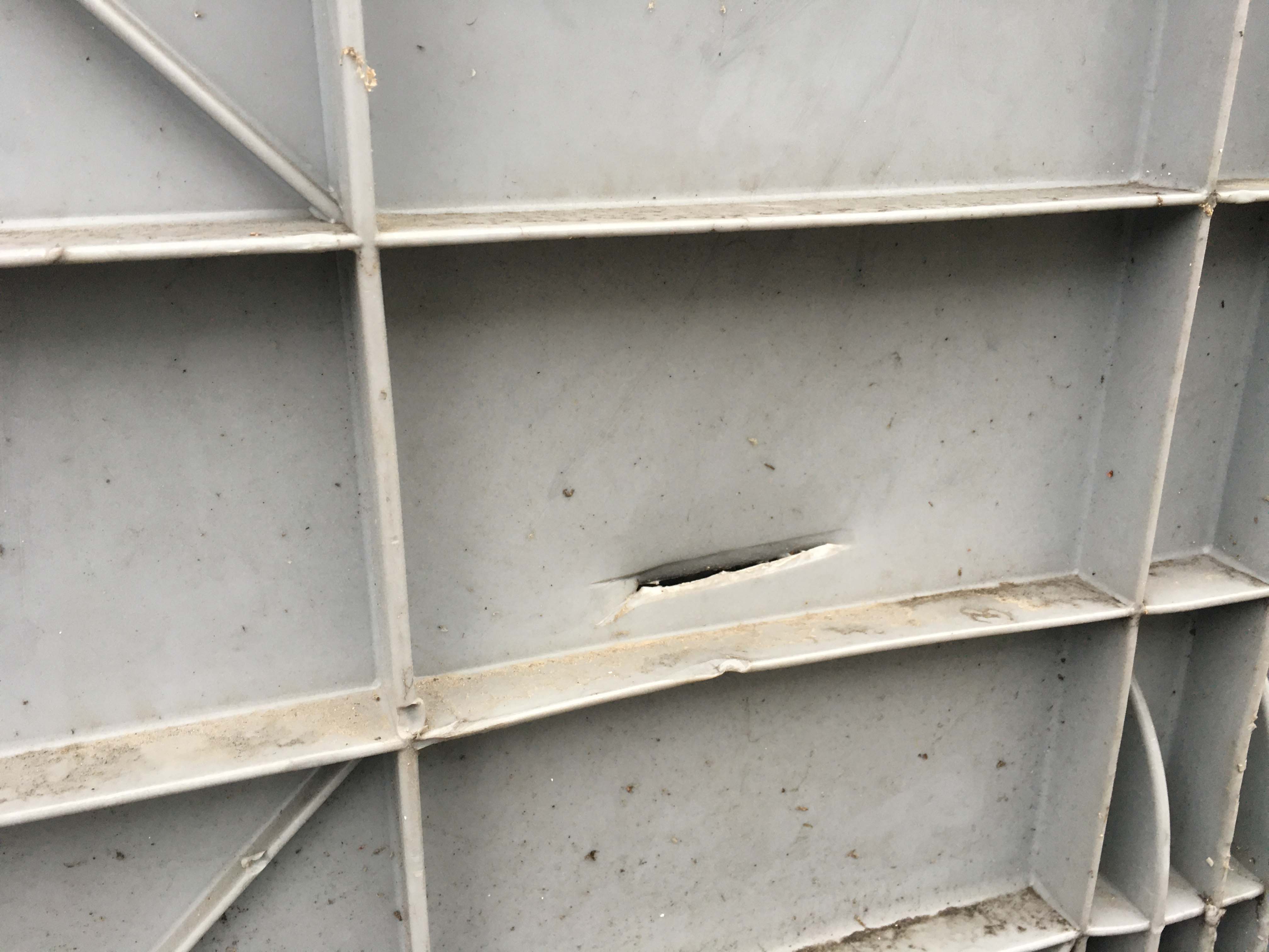 Casse pallet o cassoni in plastica usati in vendita - foto 3