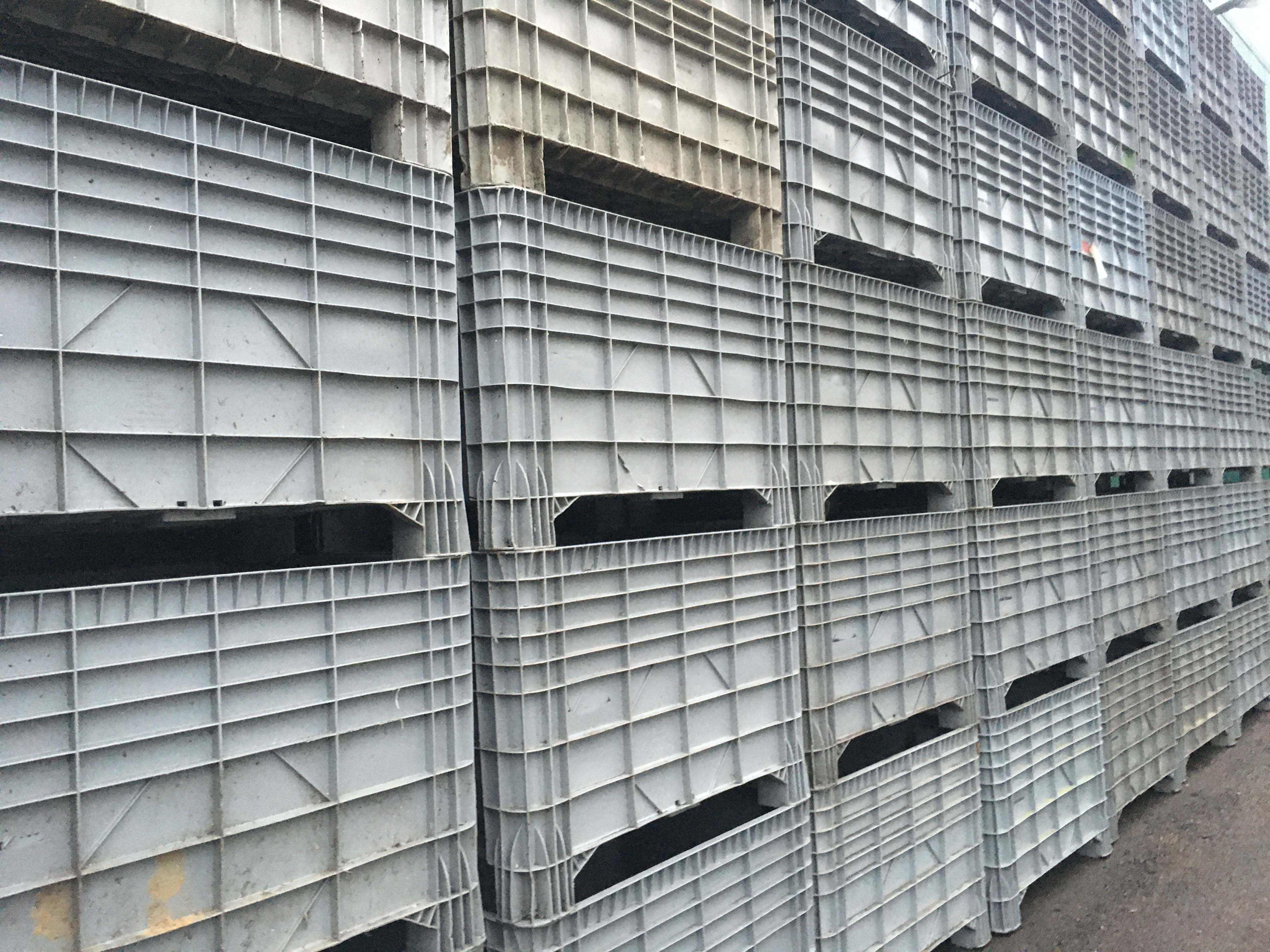 Casse pallet o cassoni in plastica usati in vendita - foto 7