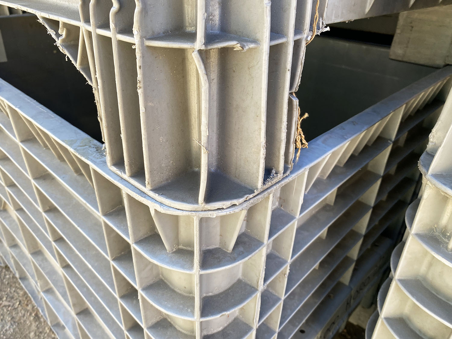 Cassoni bins in plastica impilabili usati in vendita - foto 4