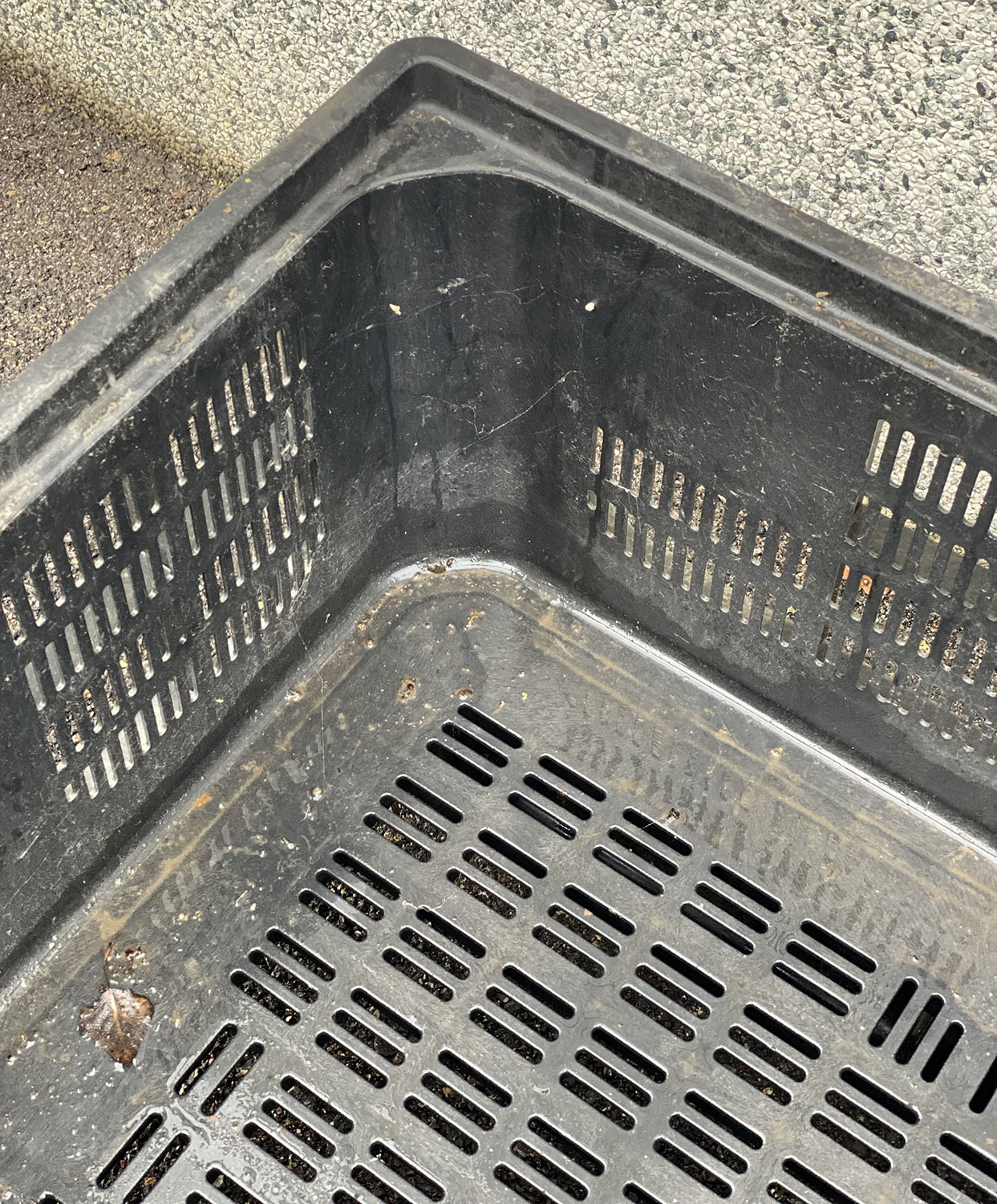 CASSONI IN PLASTICA BINS USATI in vendita - foto 4