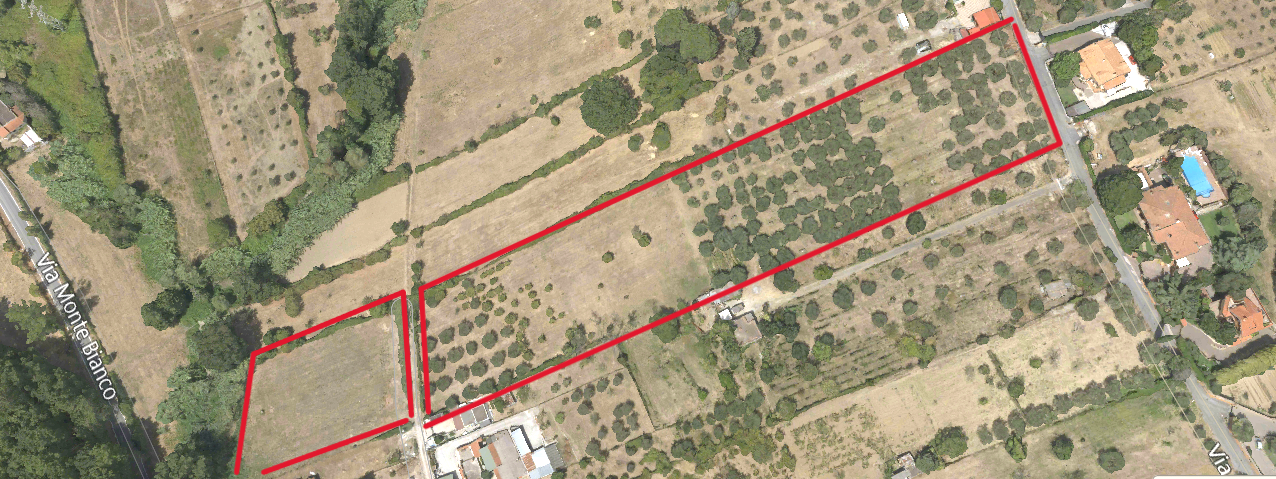 TERRENO ULIVETO AGRICOLO  -FONTE NUOVA (RM) in vendita - foto 3