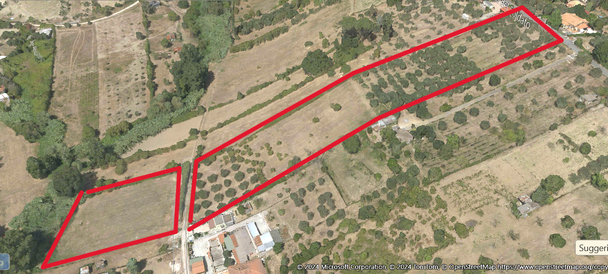 TERRENO ULIVETO AGRICOLO  -FONTE NUOVA (RM) in vendita - foto 4