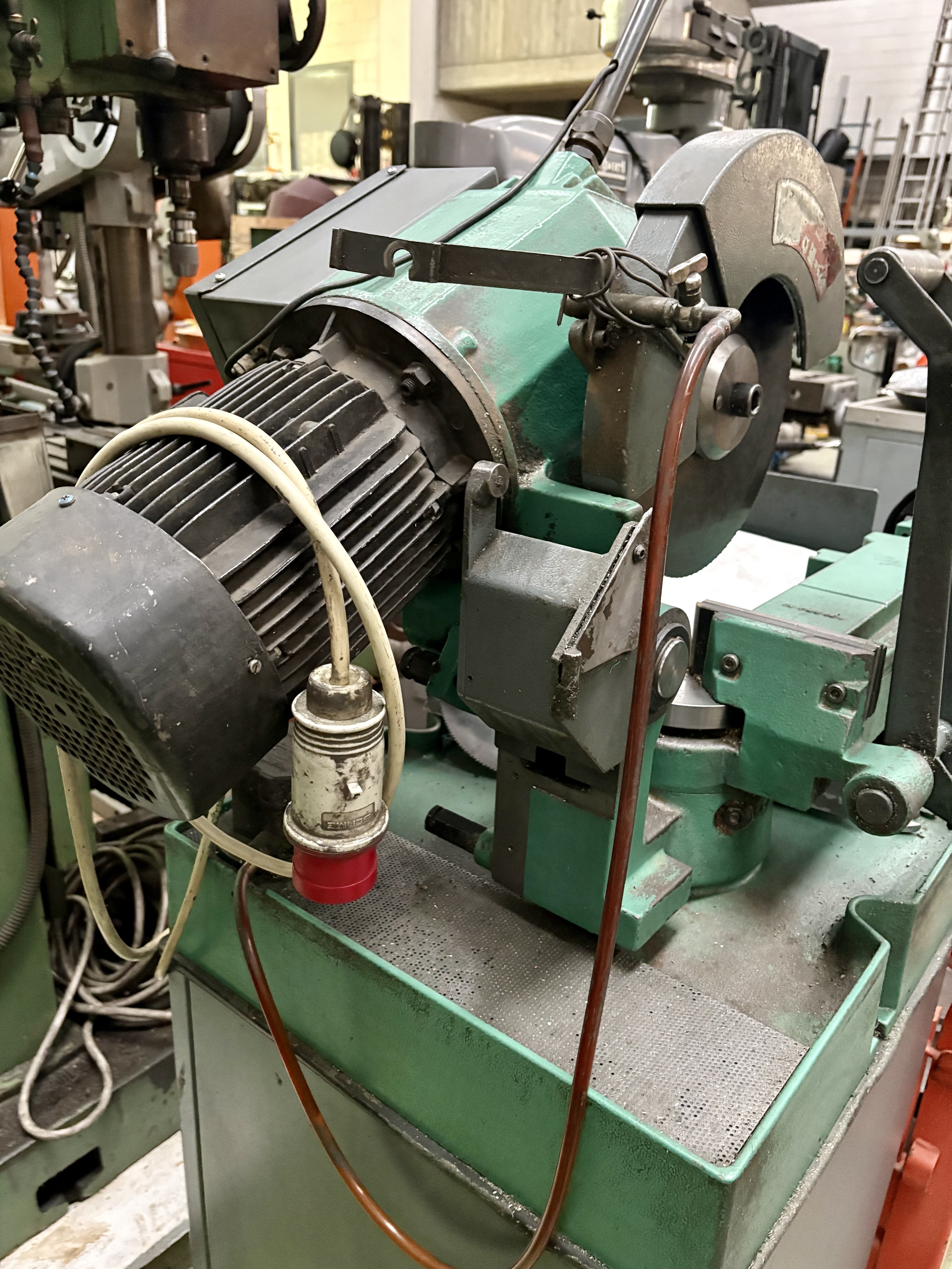 Troncatrice Pedrazzoli Superbrown 300 mrm in vendita - foto 3