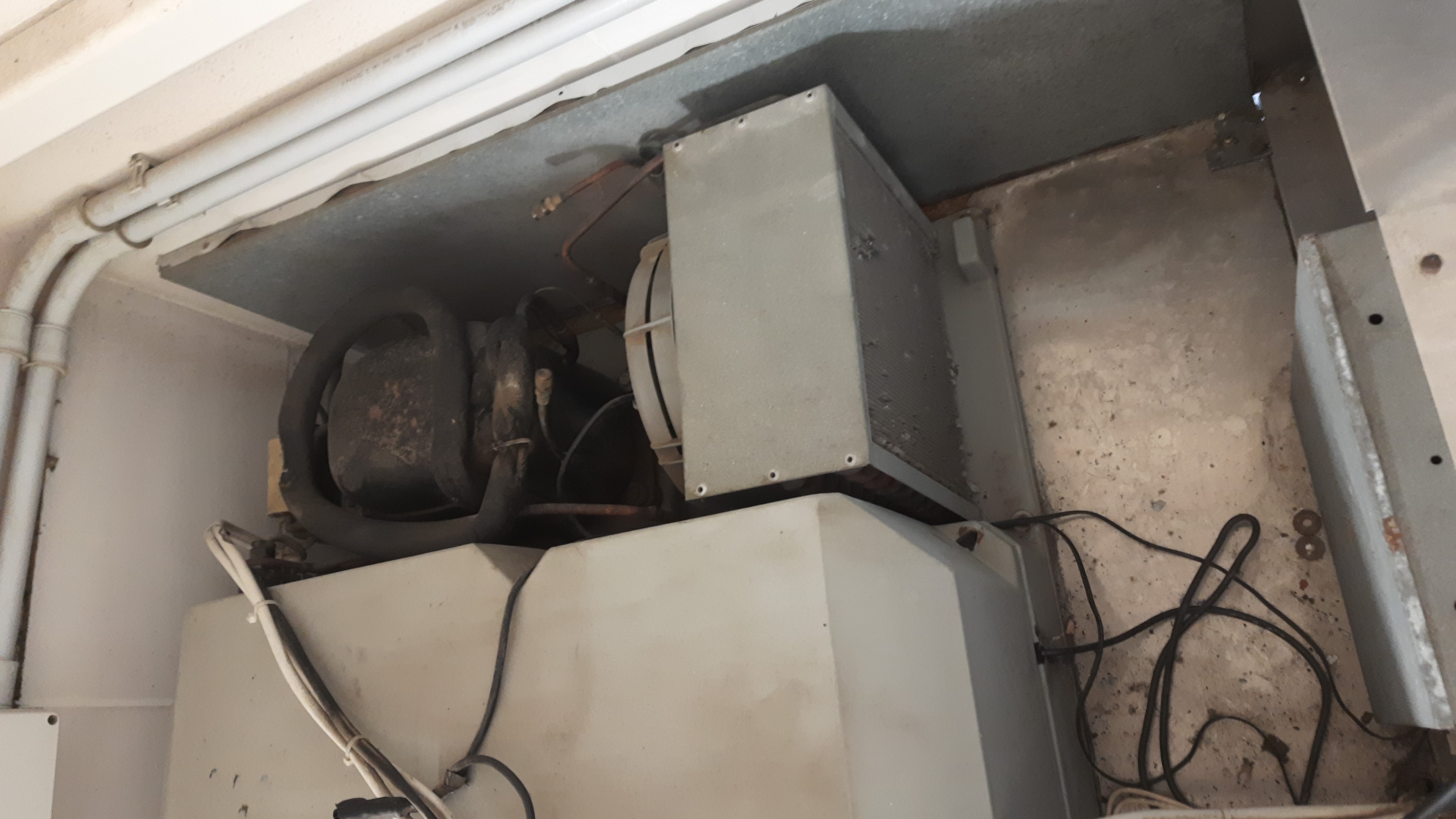 Armadio congelatore 900 L in vendita - foto 4