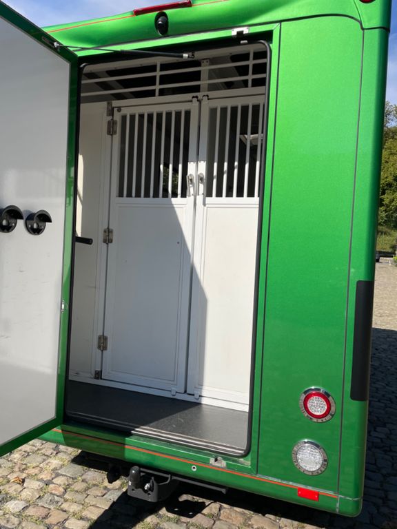 Renault Master in vendita - foto 3