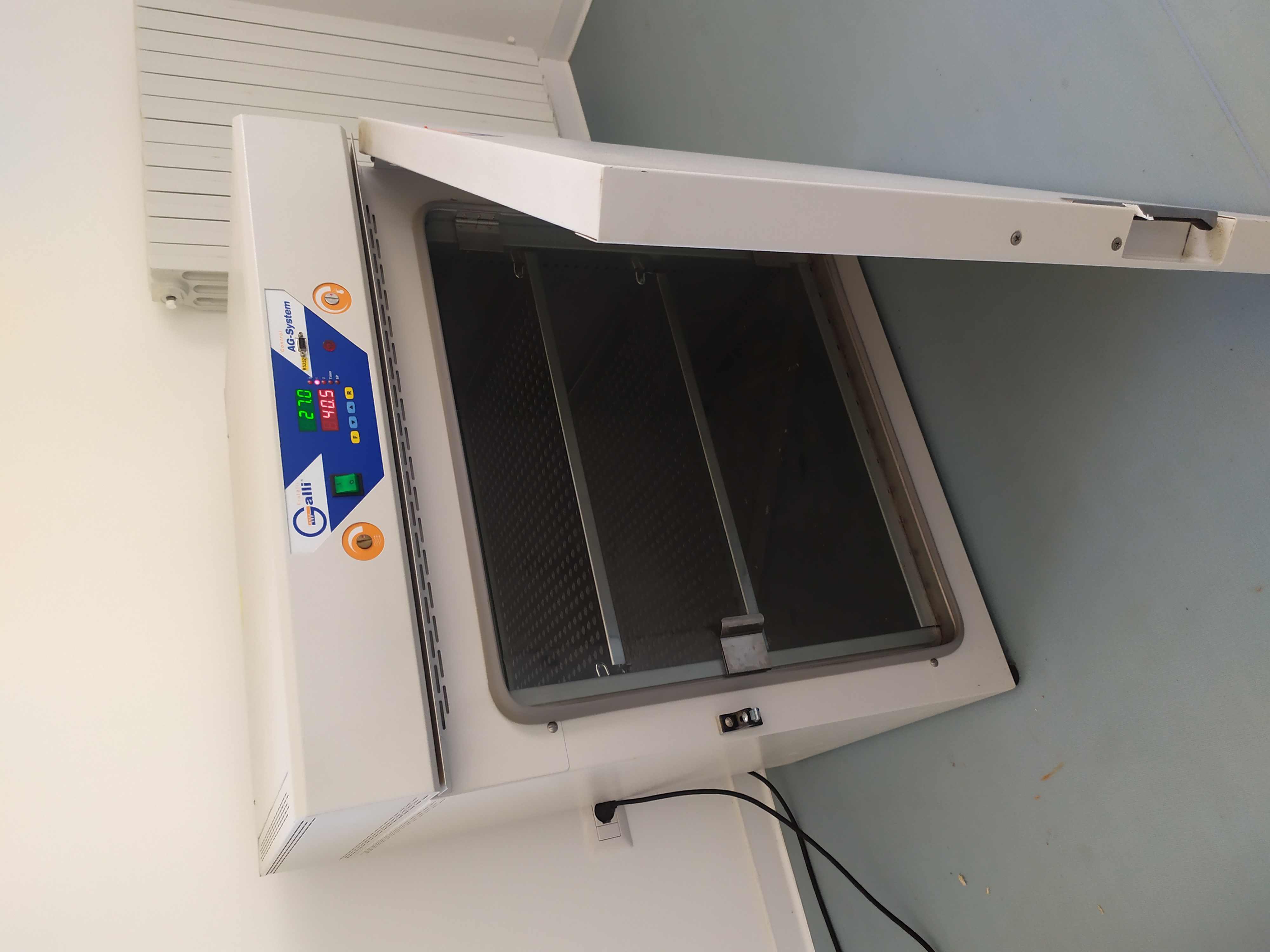 Incubatori in vendita