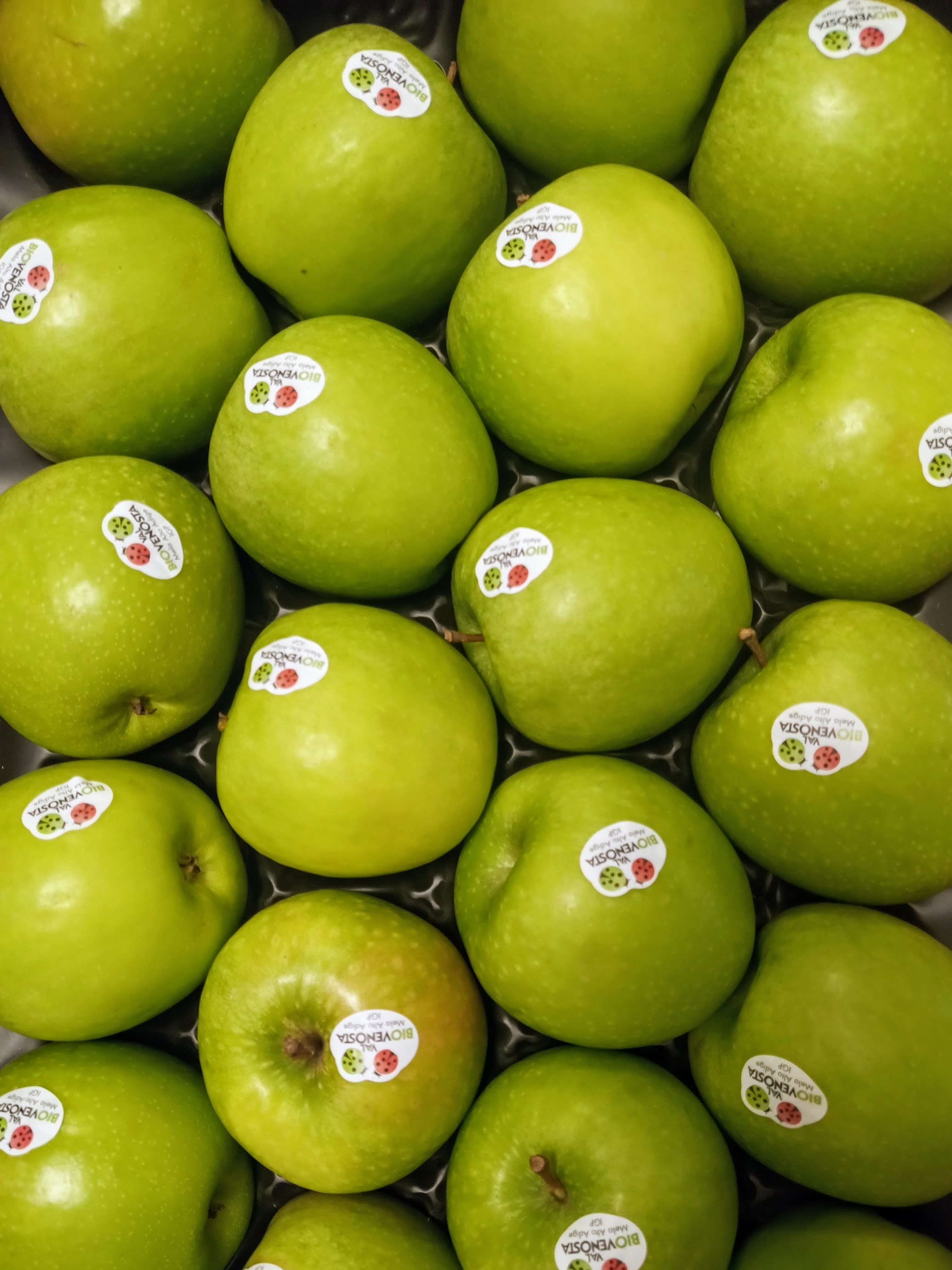 PRODUZIONE ESTRATTI VEGETALI per AGRICOLTURA BIO e NON in vendita - foto 6
