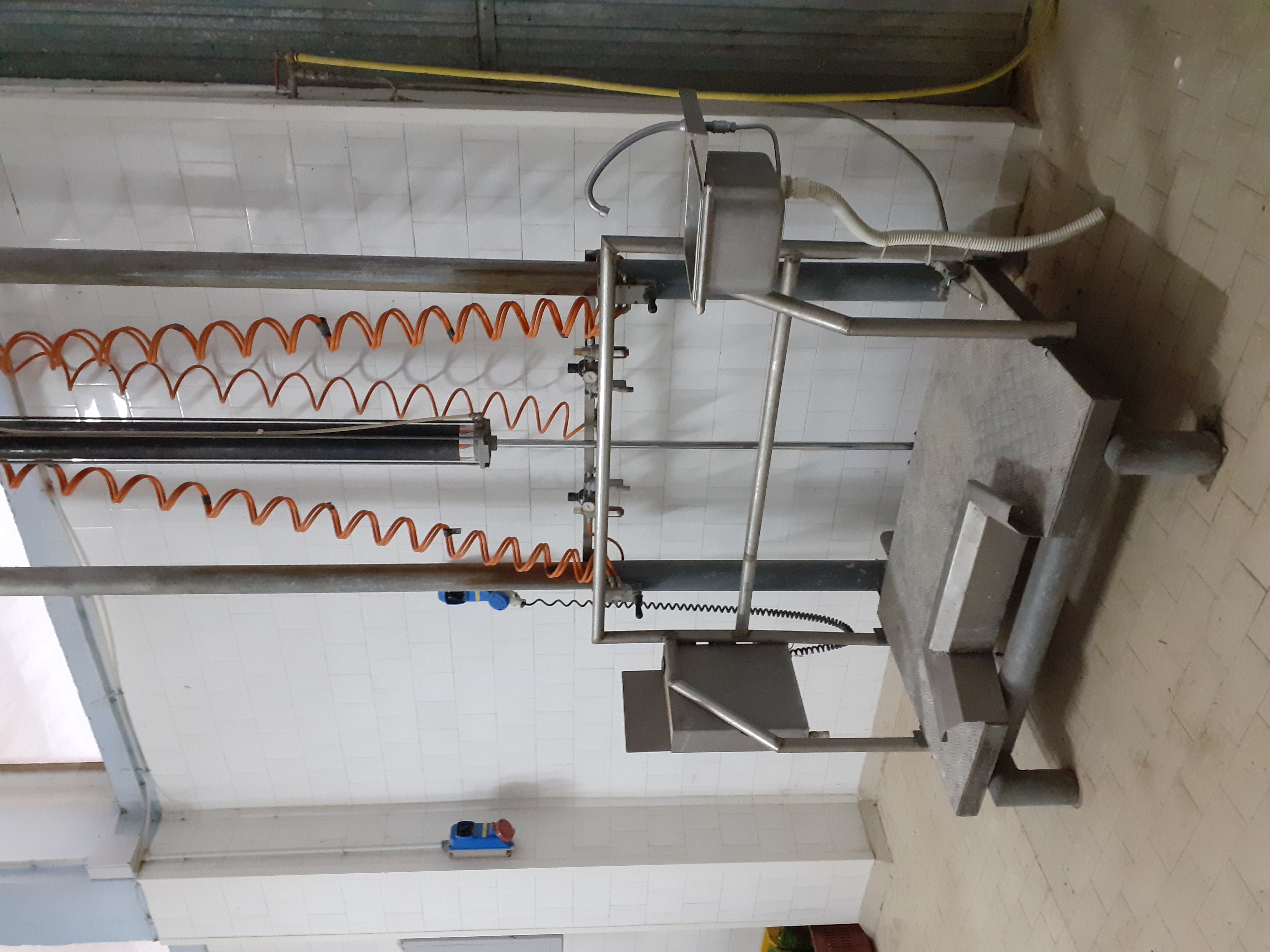 Linea macello bovini pedana paranco guidovia in vendita - foto 4