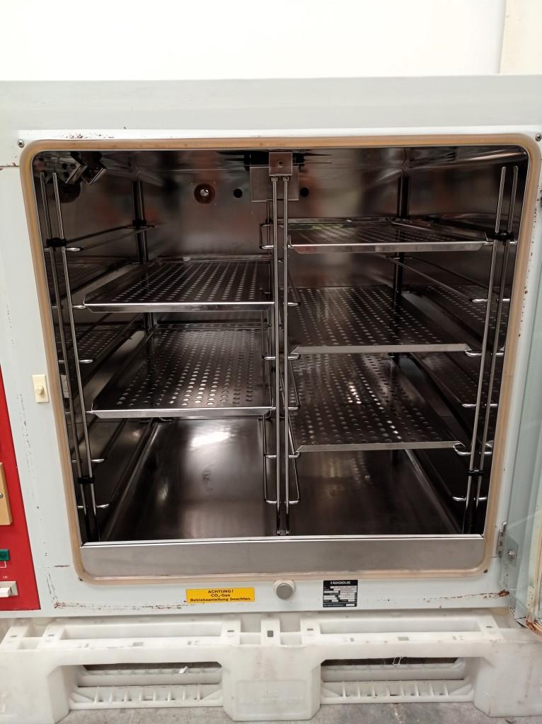 INCUBATRICE DA LABORATORIO - HERAEUS - B 5060 (FOR-24) in vendita - foto 3