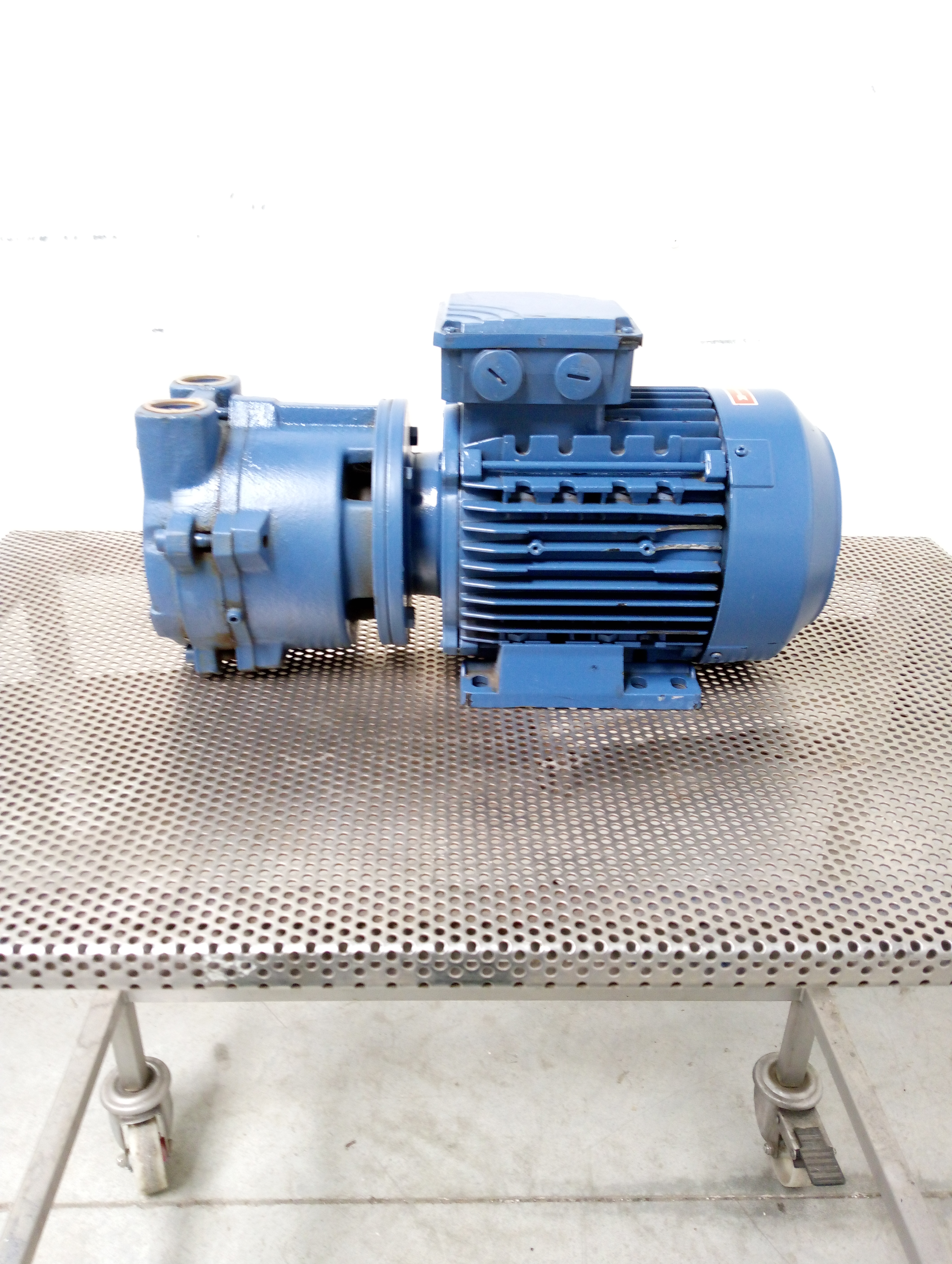 POMPA AD ANELLO LIQUIDO – AEG (COD. MF-PR-POM-152) in vendita - foto 2