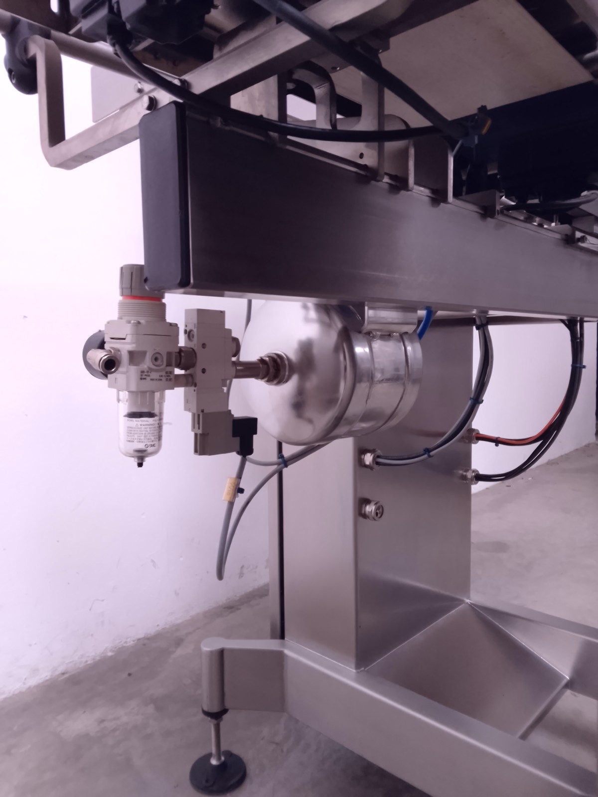 SELEZIONATRICE PONDERALE-THERMO RAMSEY (MF-PK-BIL-127) in vendita - foto 4