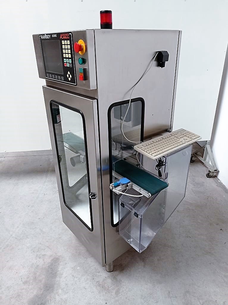 BILANCIA DI LINEA THERMO RAMSEY RXM (COD MF-PK-BIL-100) in vendita - foto 6